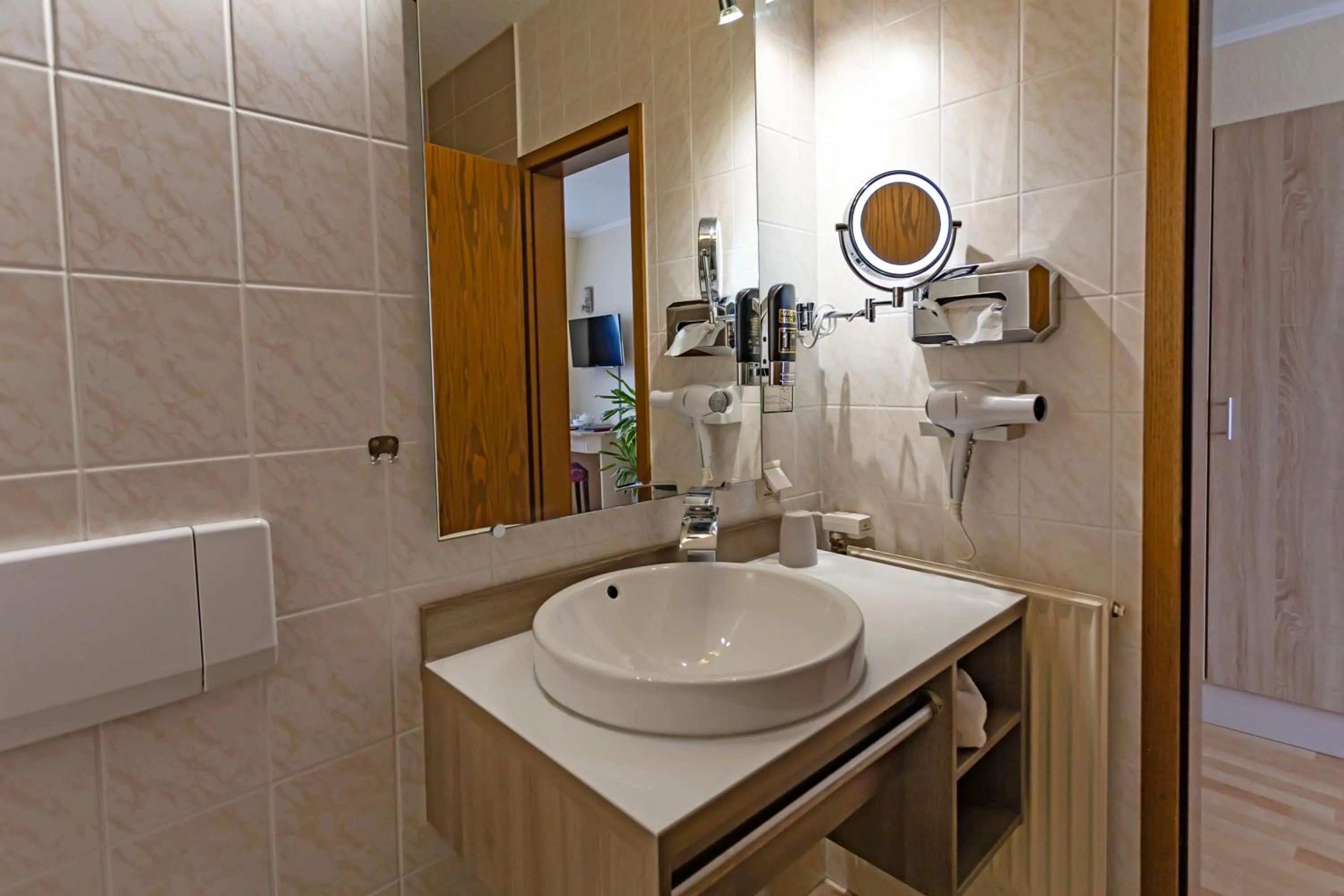 Bathroom in Hotel ELBRIVERA Alt Prester