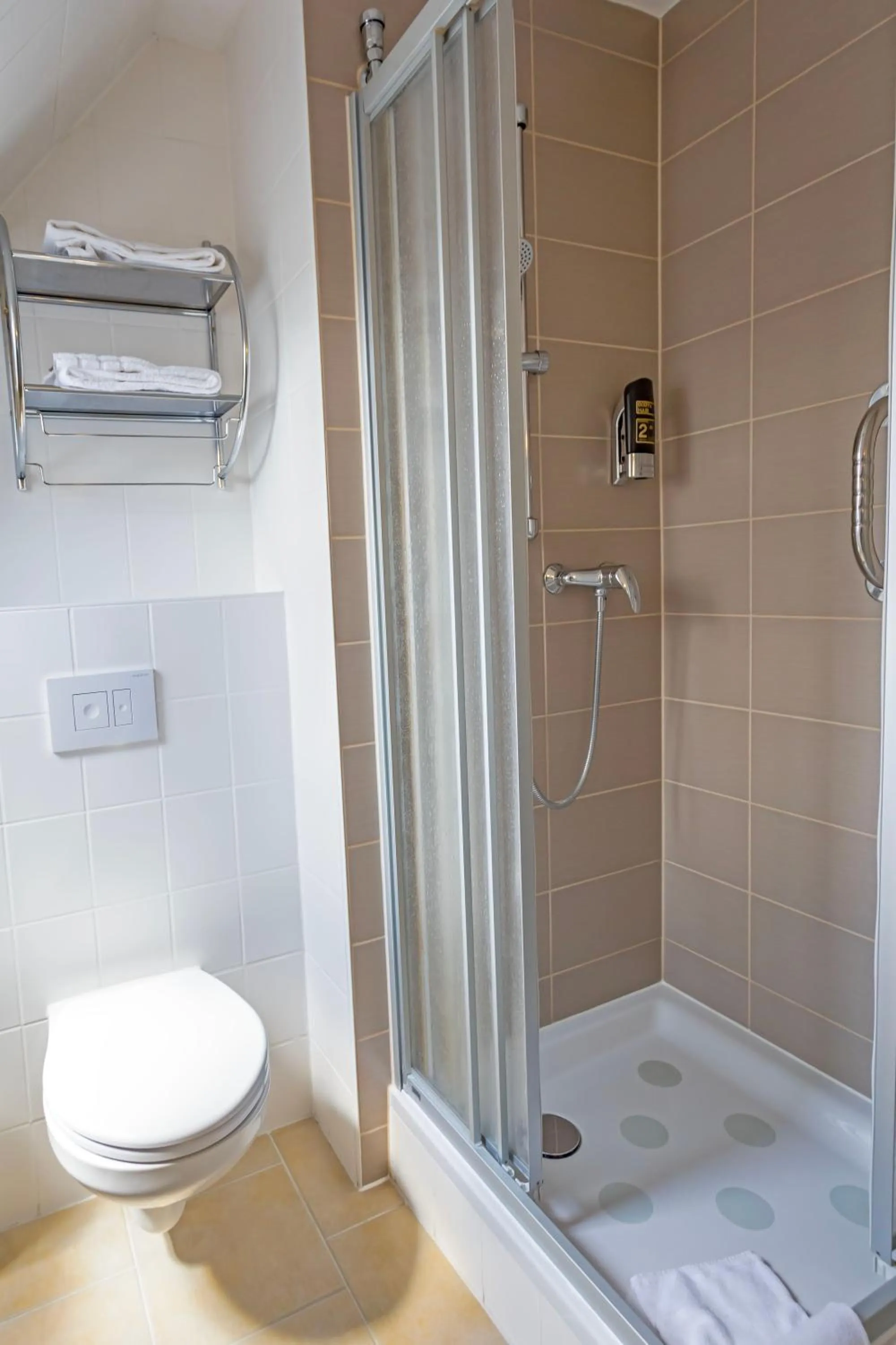 Shower in Hotel ELBRIVERA Alt Prester