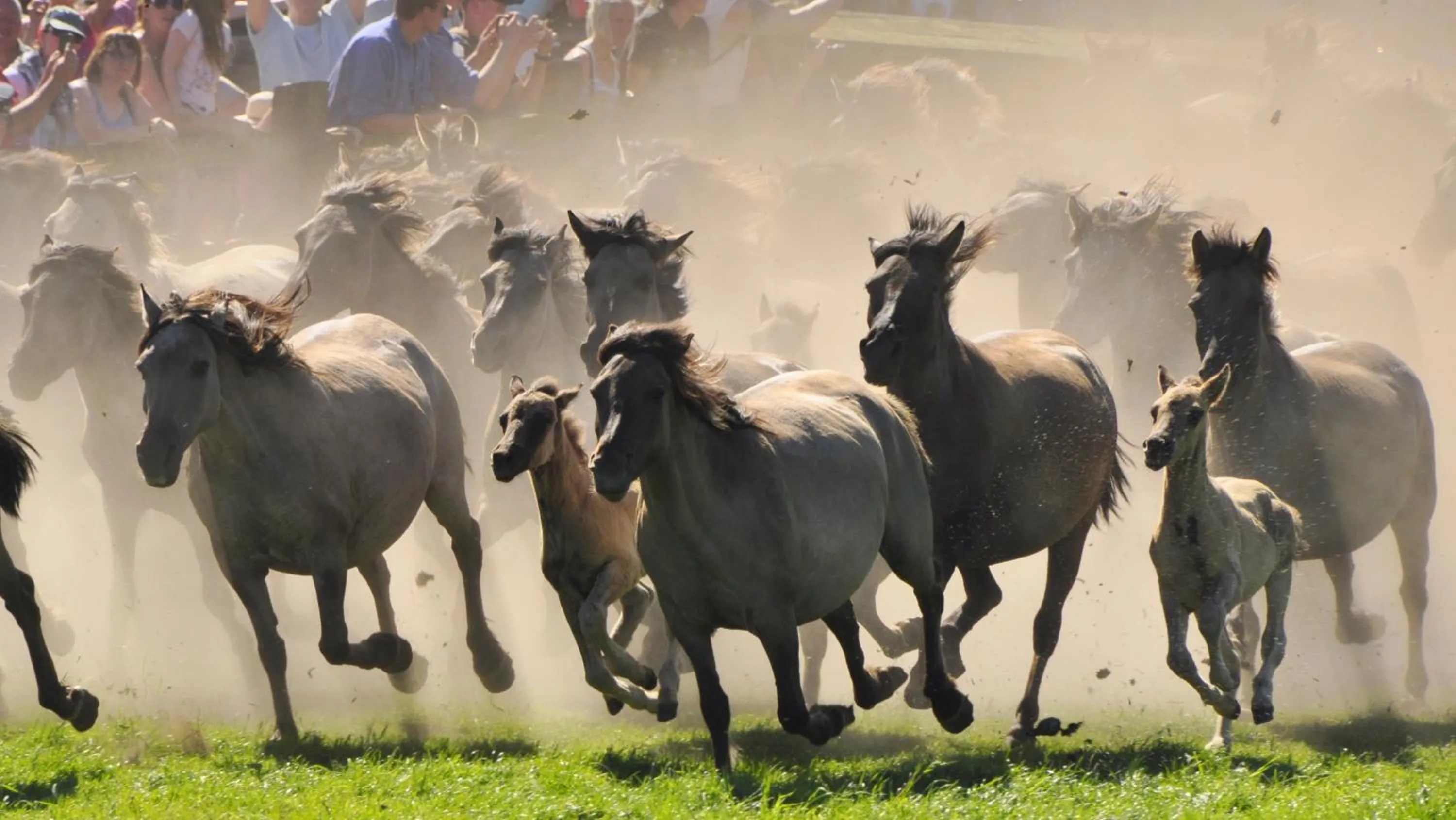 Nearby landmark in Berghotel Hohe Mark