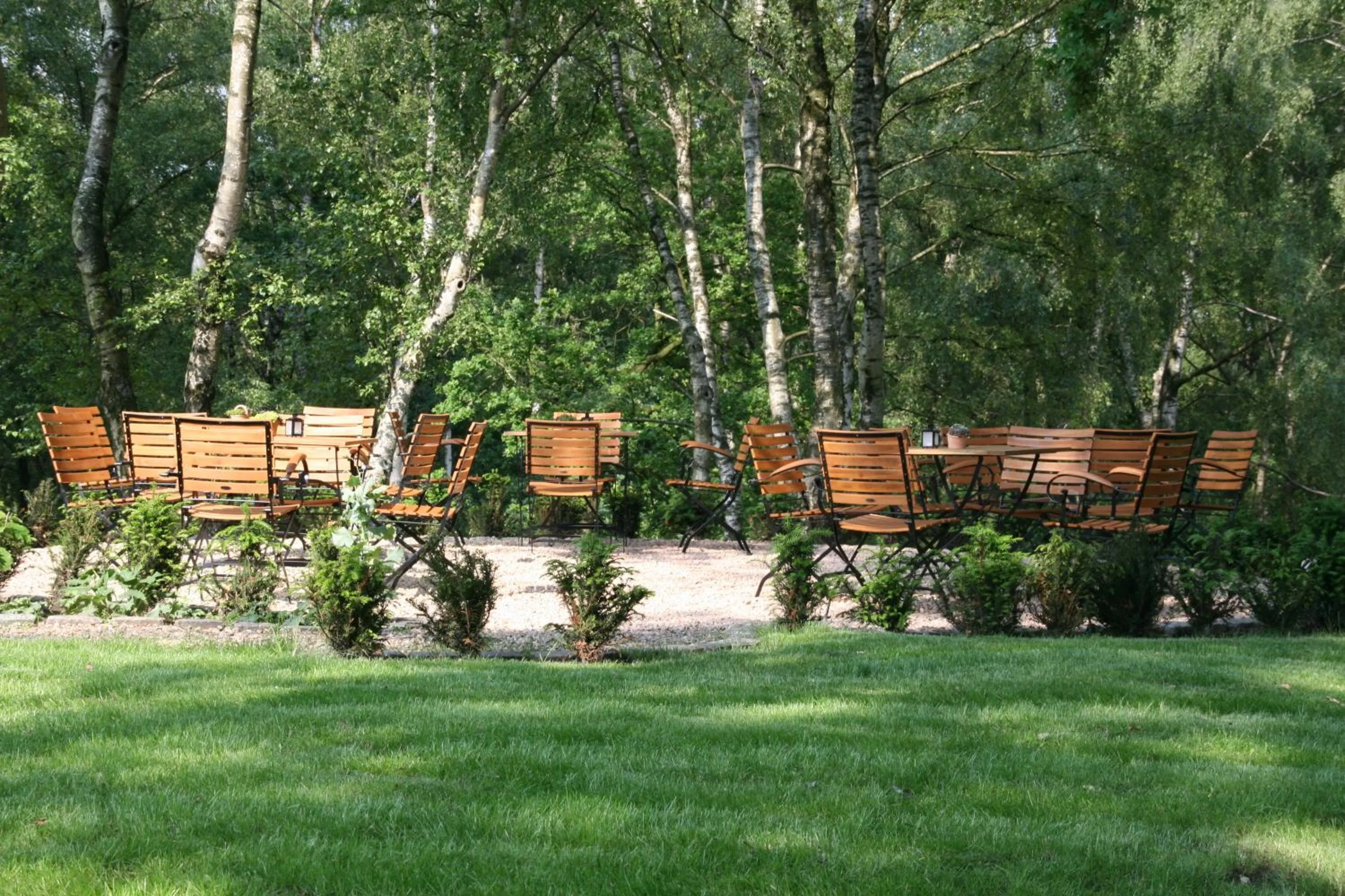 Restaurant/places to eat in Berghotel Hohe Mark