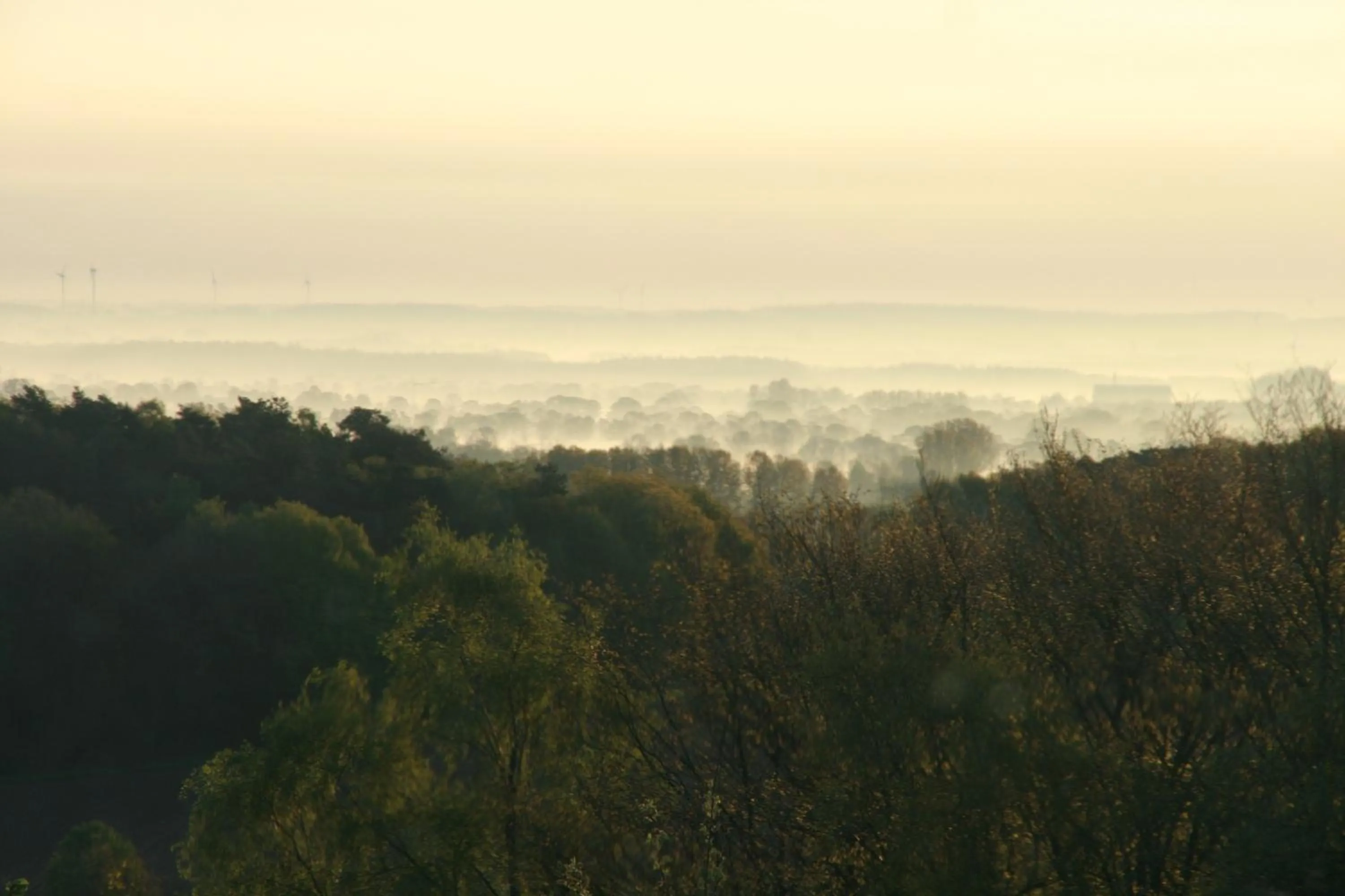 Area and facilities in Berghotel Hohe Mark