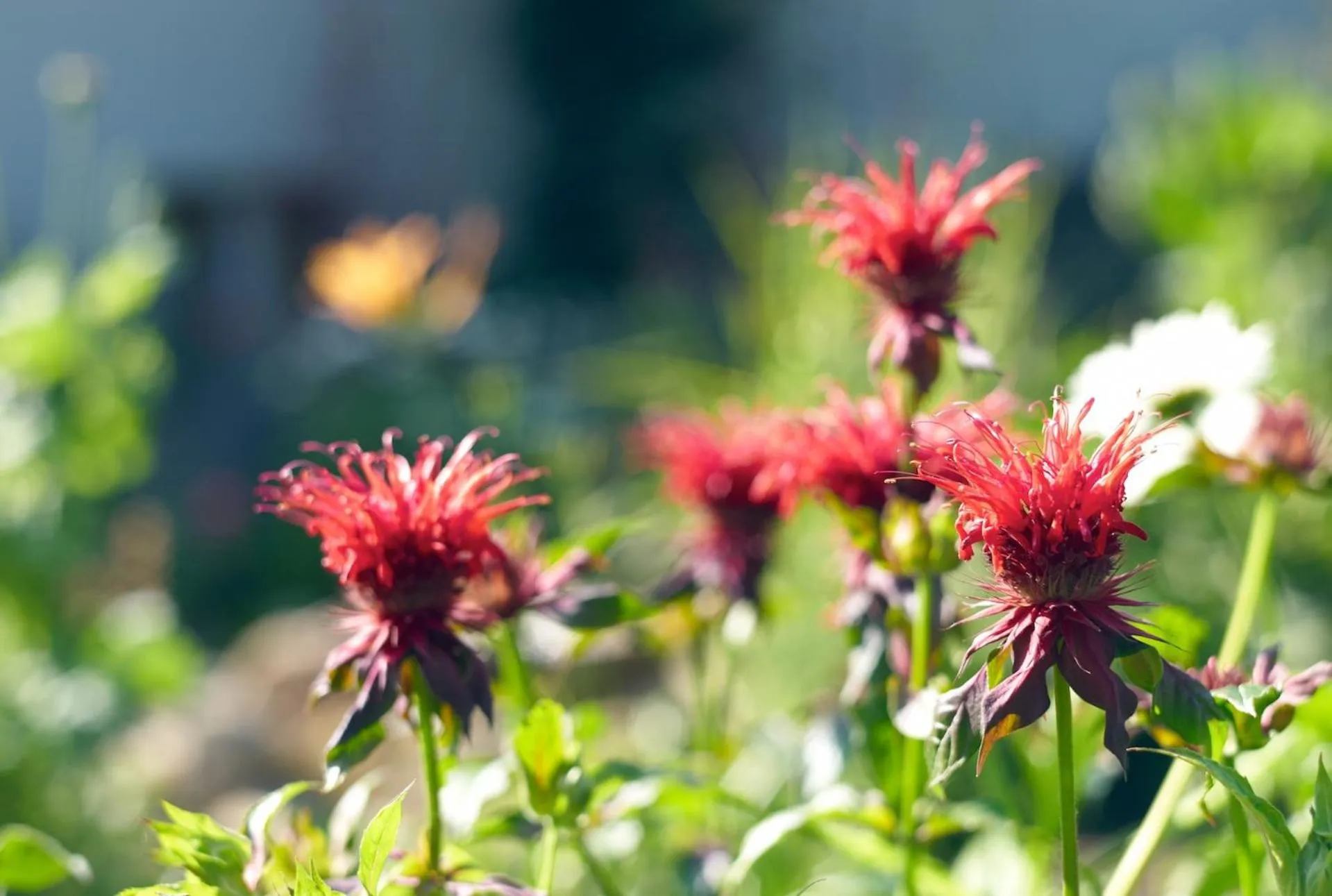 Other in Berghotel Hohe Mark