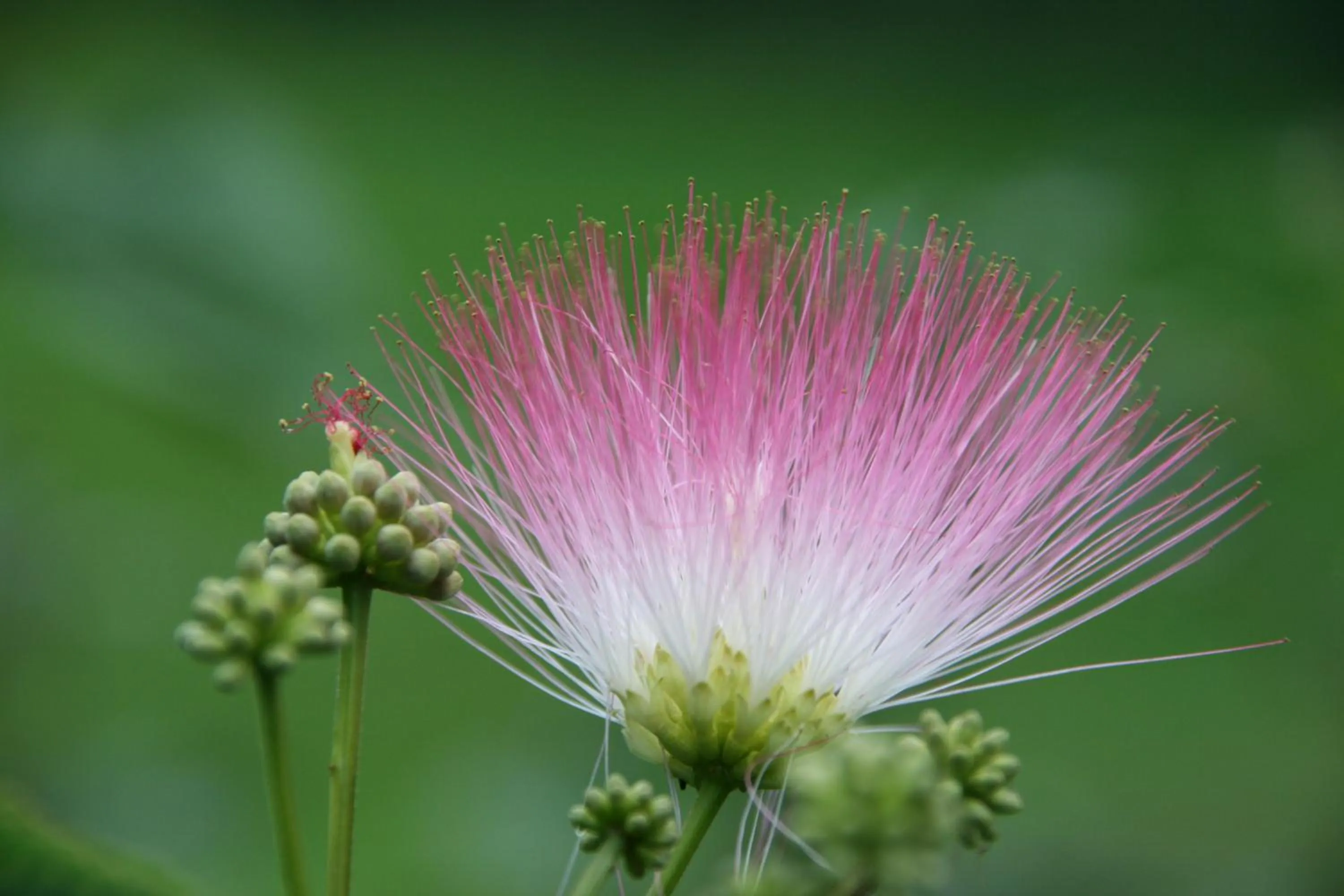 Other in Berghotel Hohe Mark