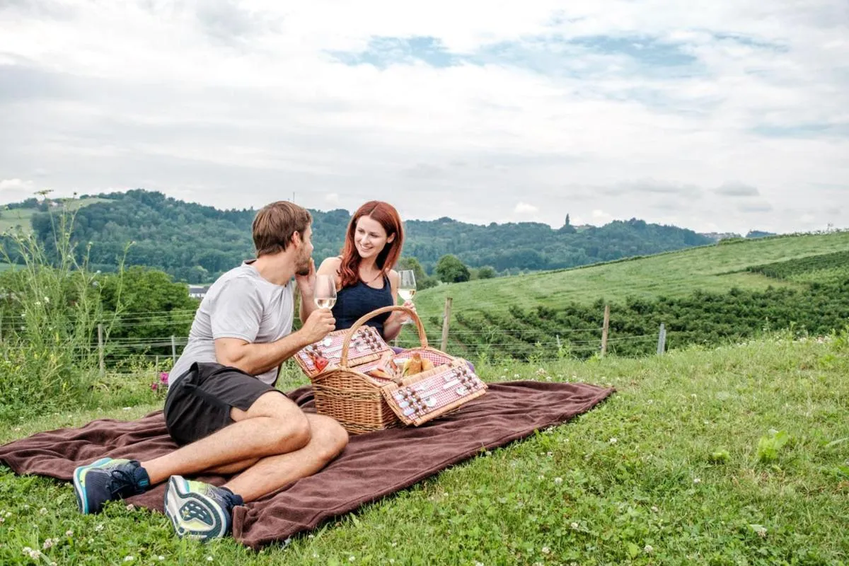 Property building in das MEISTER