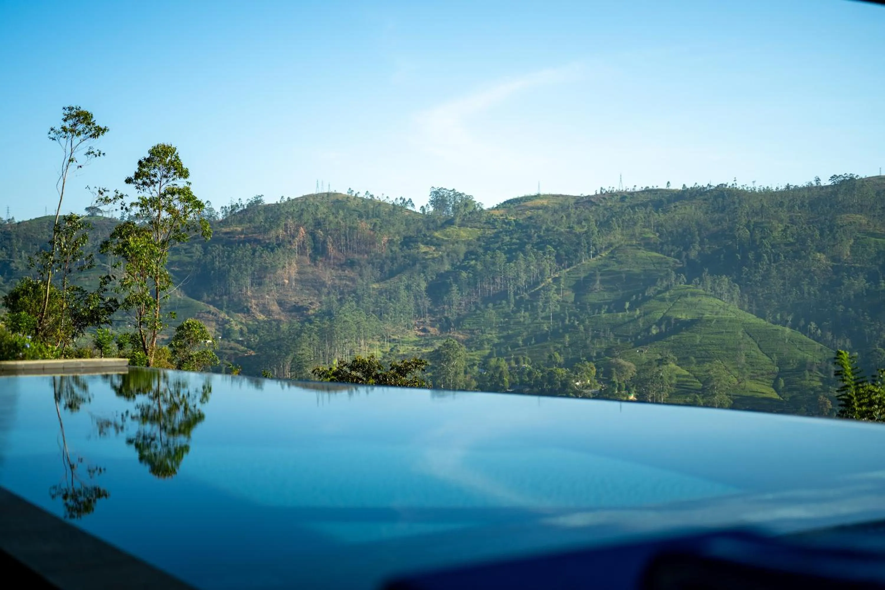 Swimming pool in Camellia Hills
