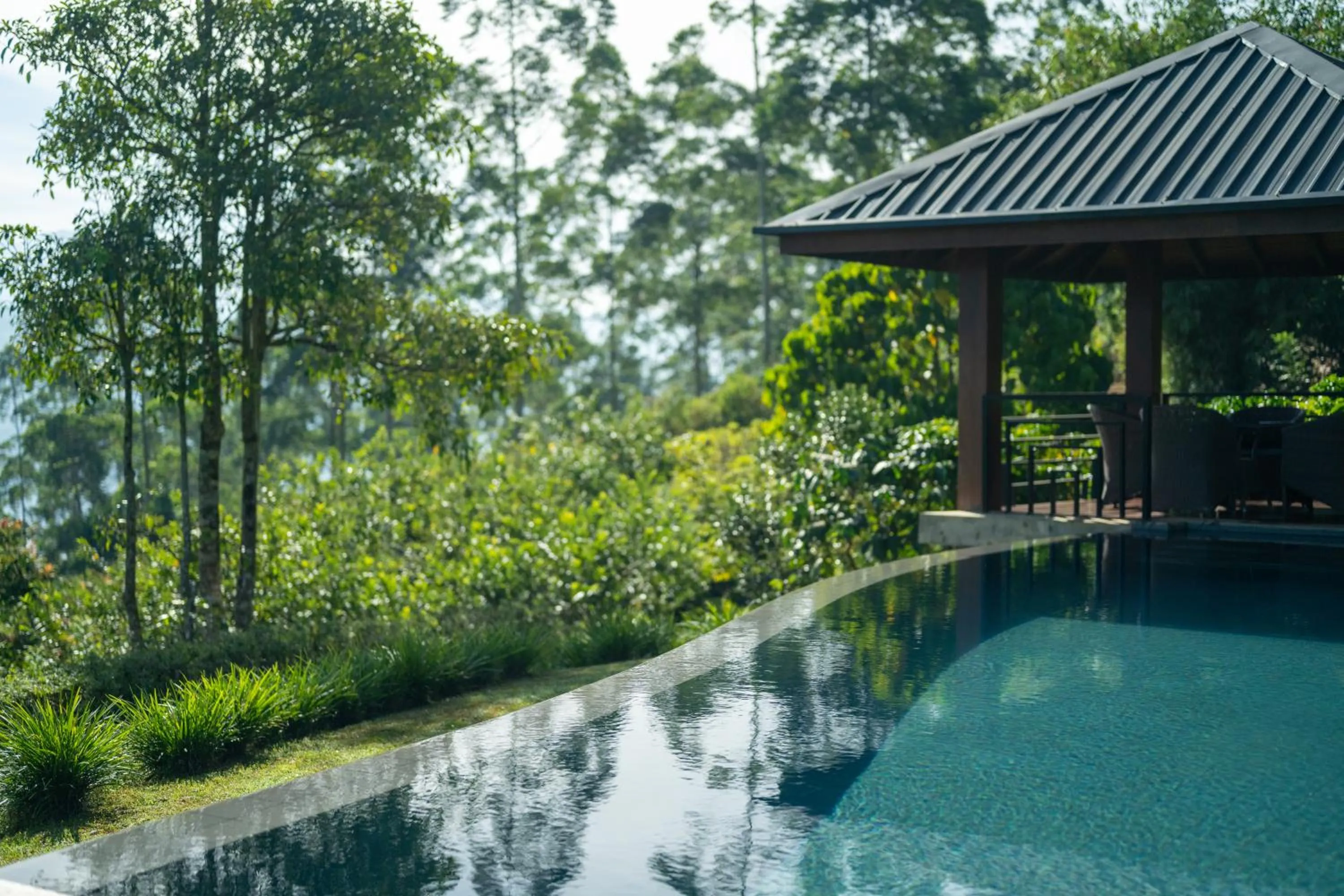 Swimming pool in Camellia Hills