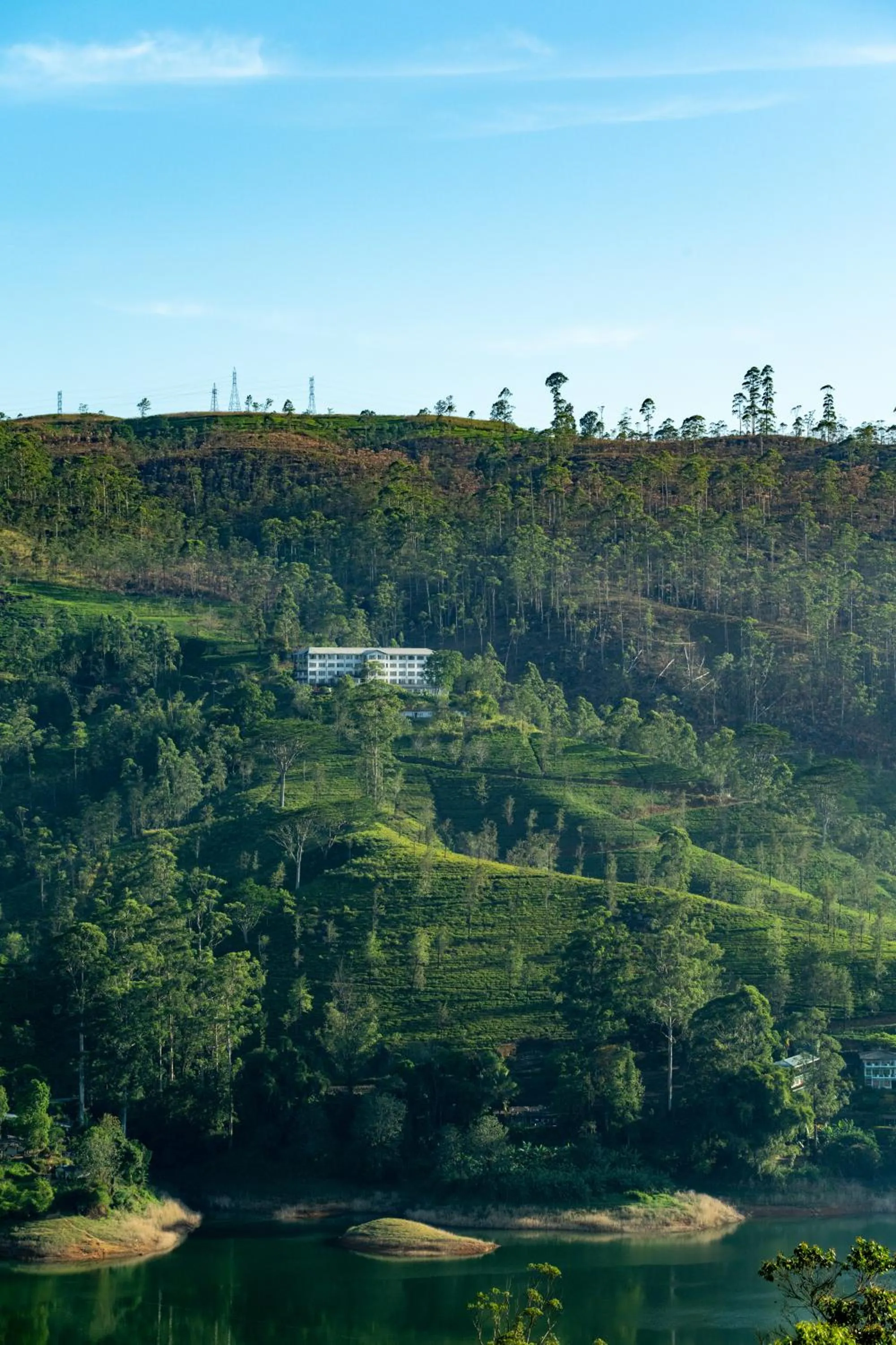 View (from property/room) in Camellia Hills