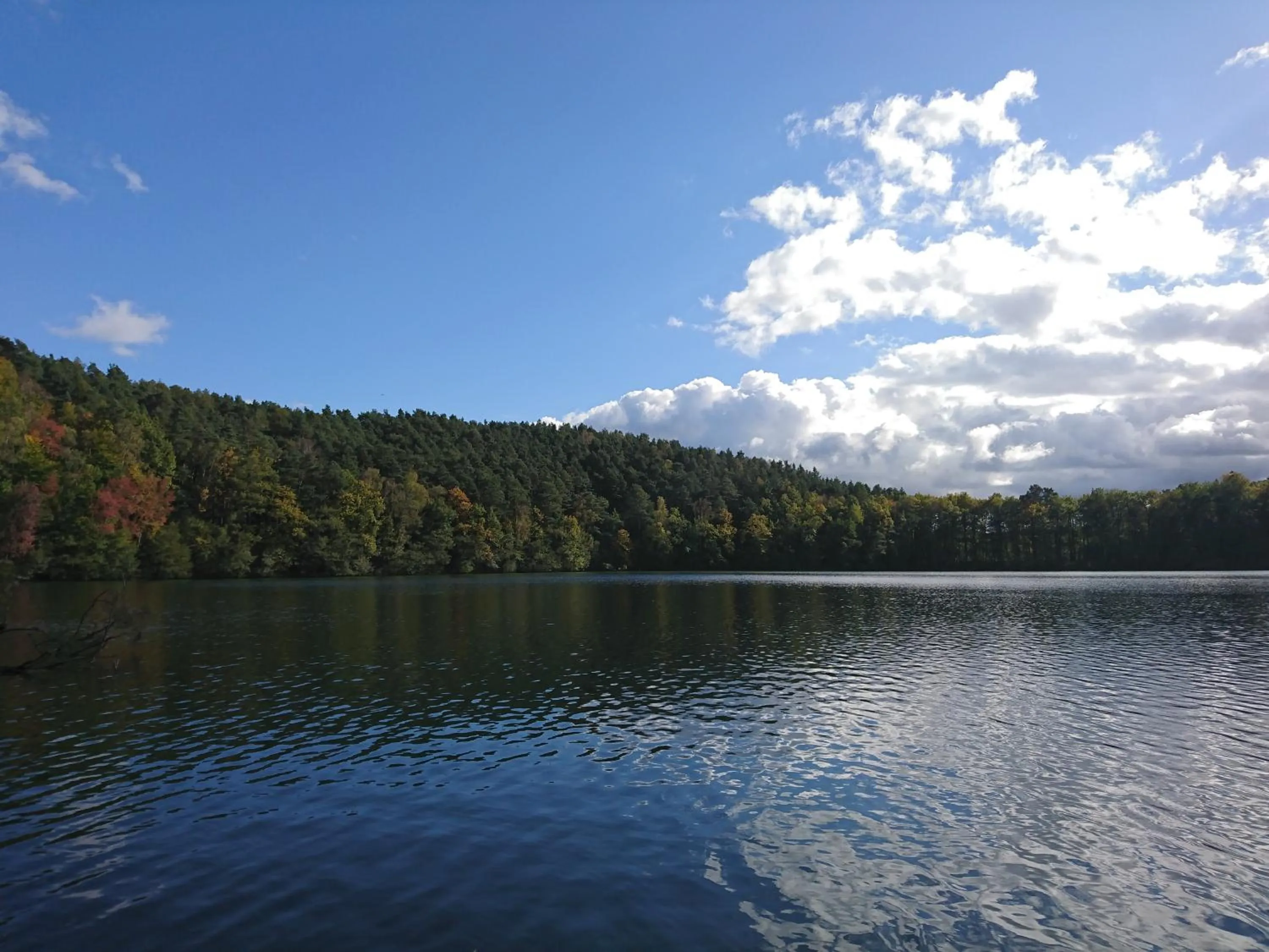 Waldsee Hotel am Wirchensee