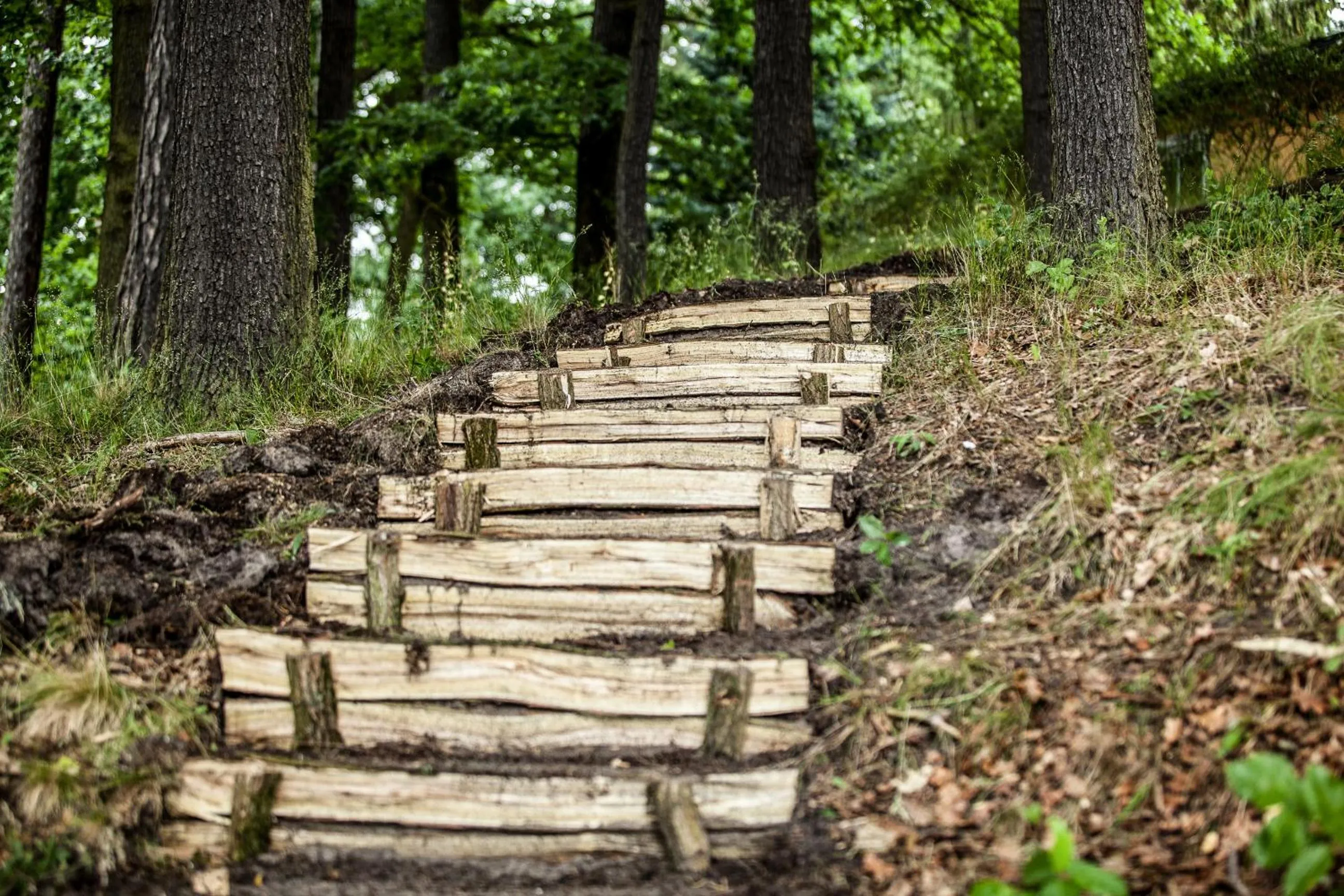 Waldsee Hotel am Wirchensee