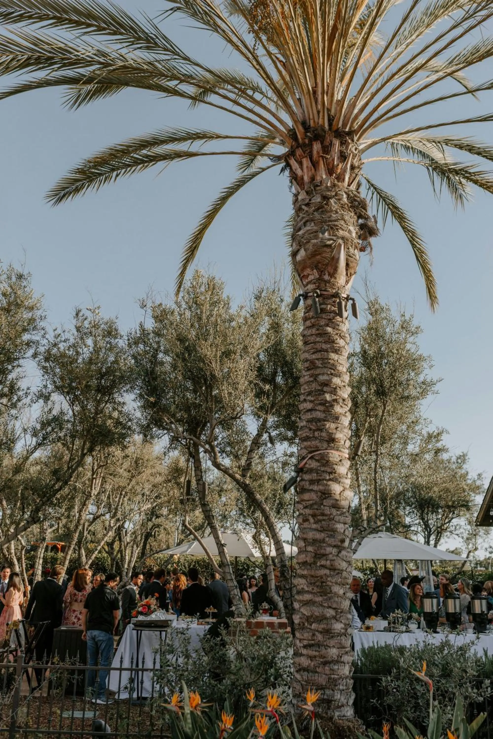 Other in Inn at the Mission San Juan Capistrano, Autograph Collection