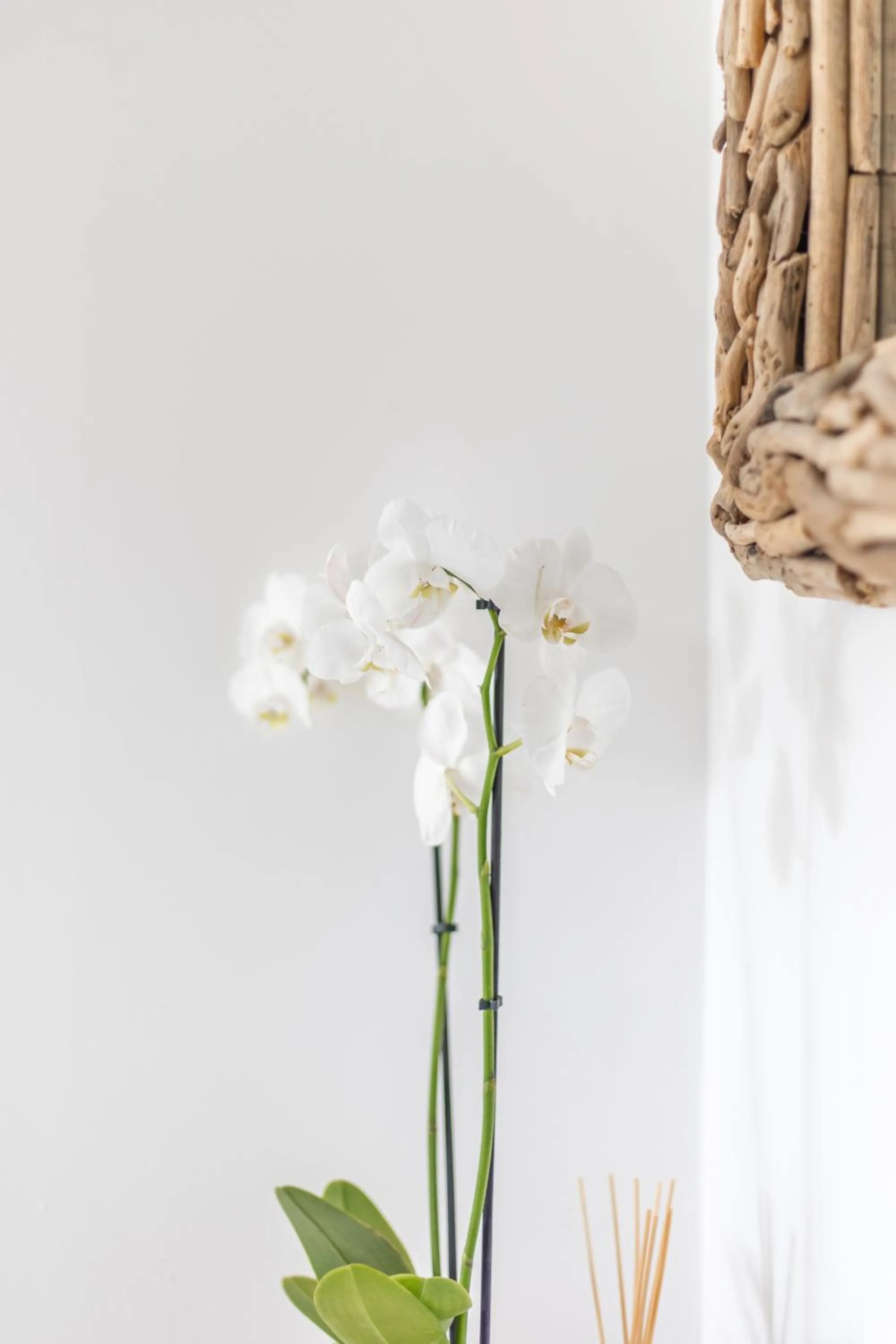 Bedroom in Lakeside Old Hunstanton