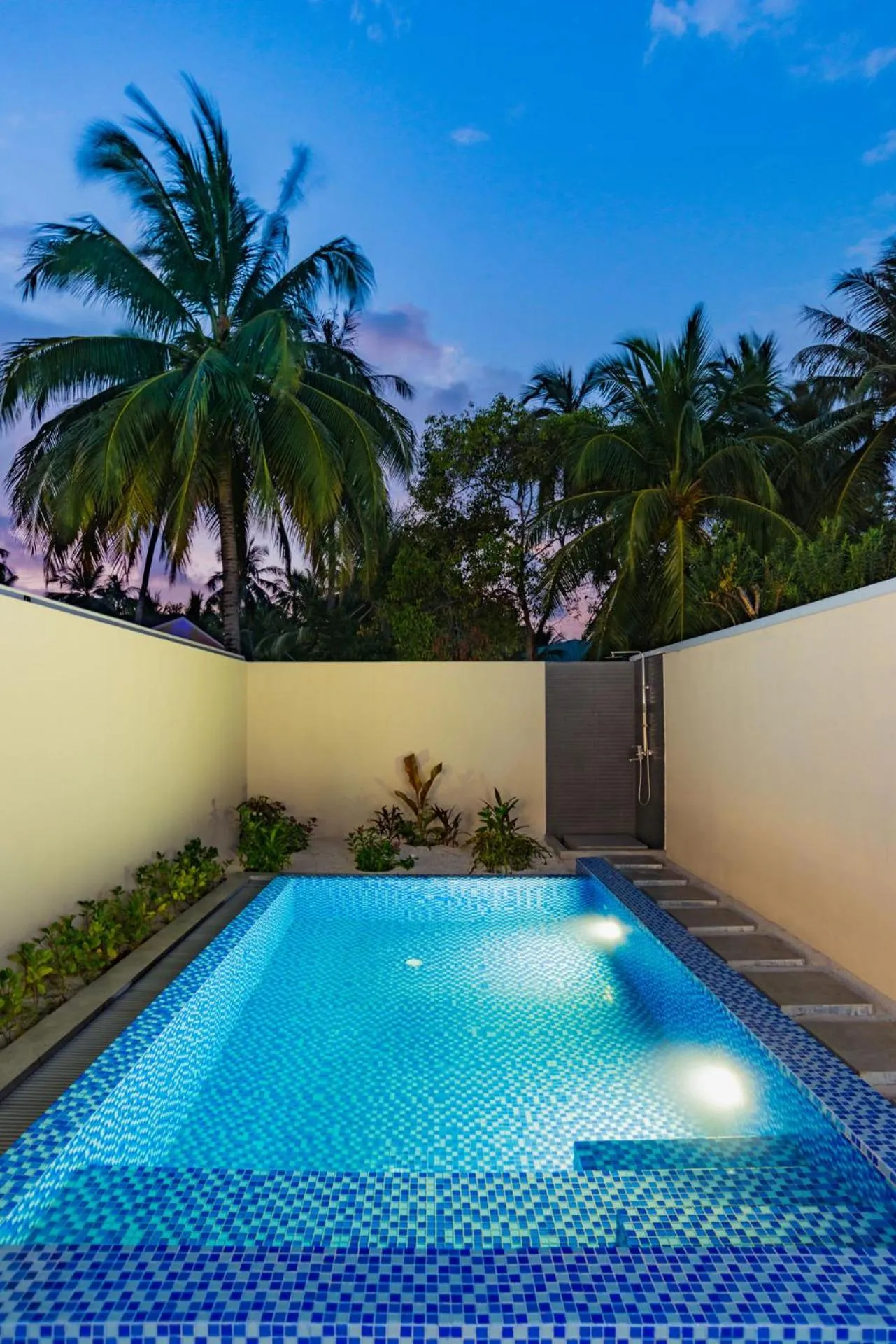 Swimming pool in Fiyavalhu Resort Maldives