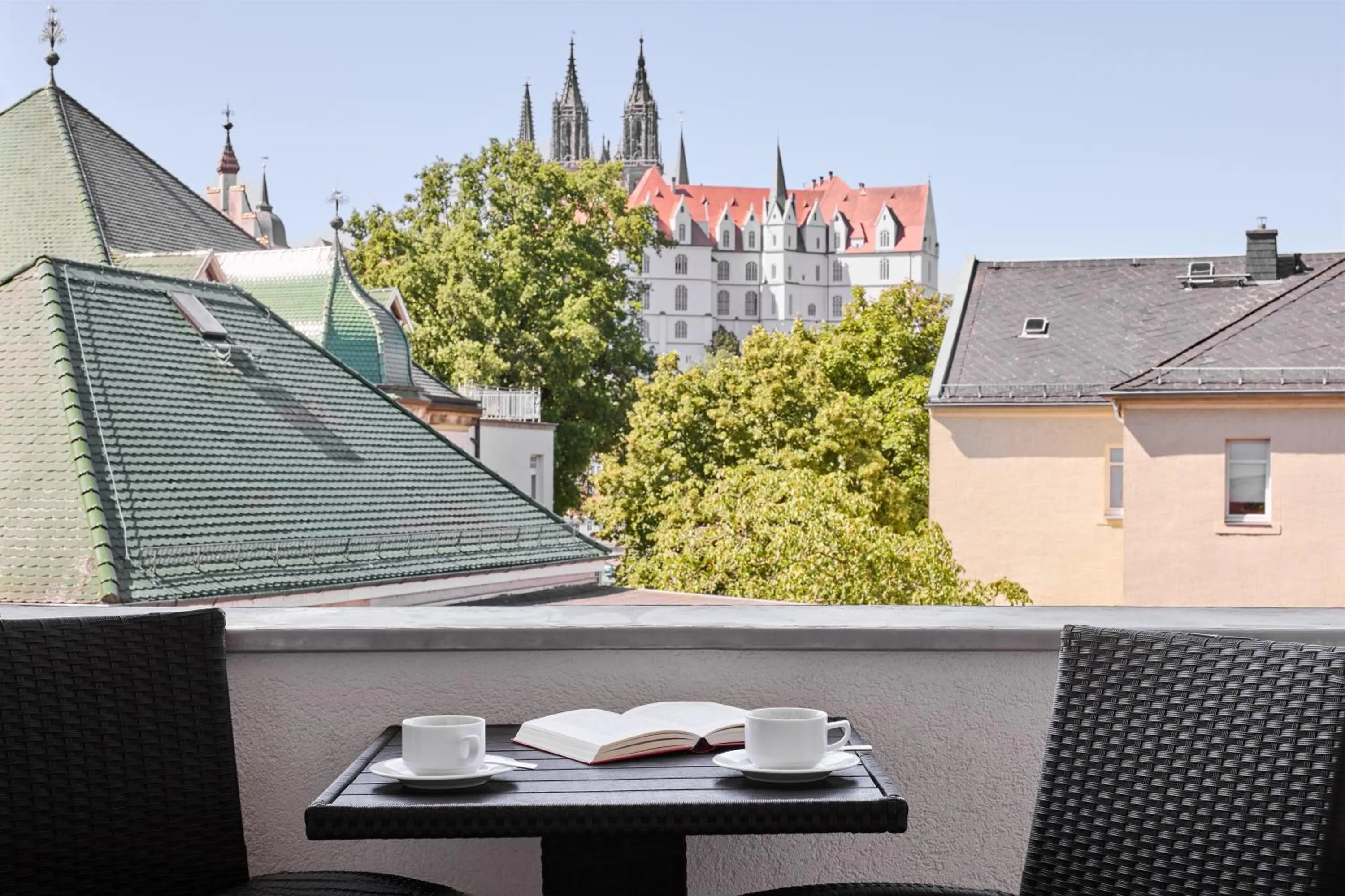 View (from property/room) in Dorint Parkhotel Meißen