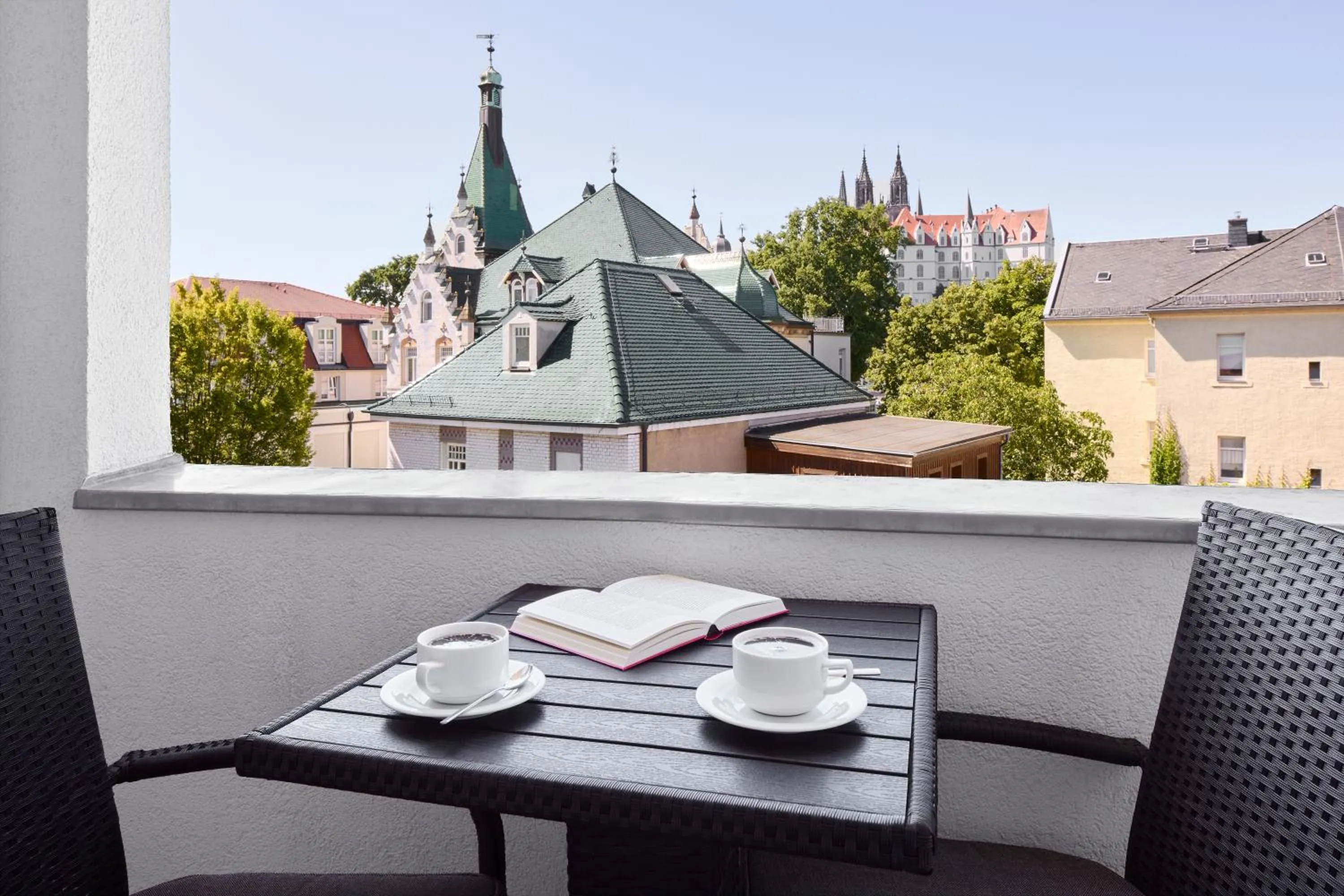 View (from property/room) in Dorint Parkhotel Meißen