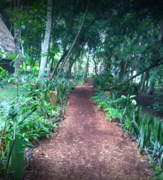 Garden in Hotel Tikal Inn