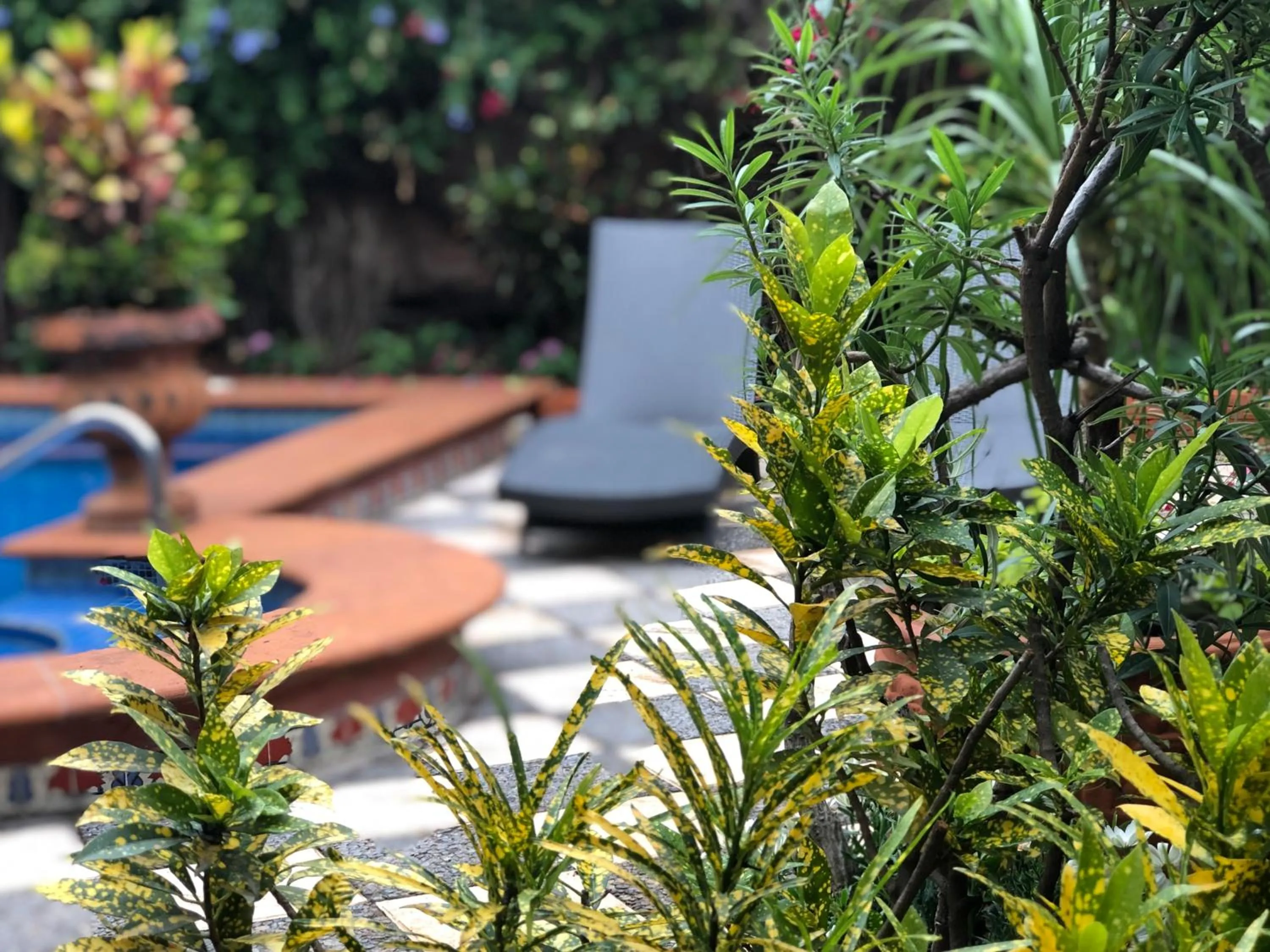 Swimming pool in Casa del Sol Inn