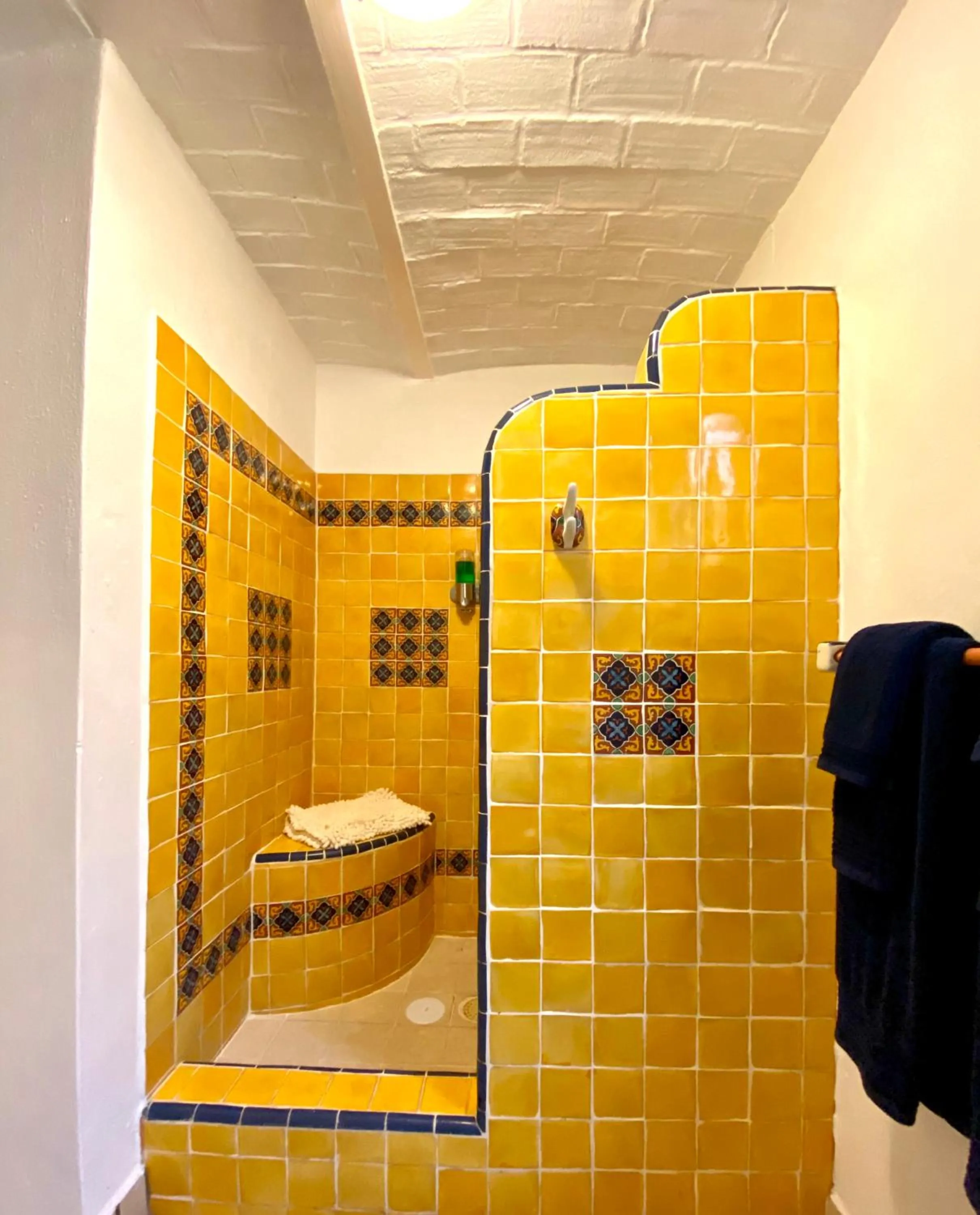 Shower in Casa del Sol Inn