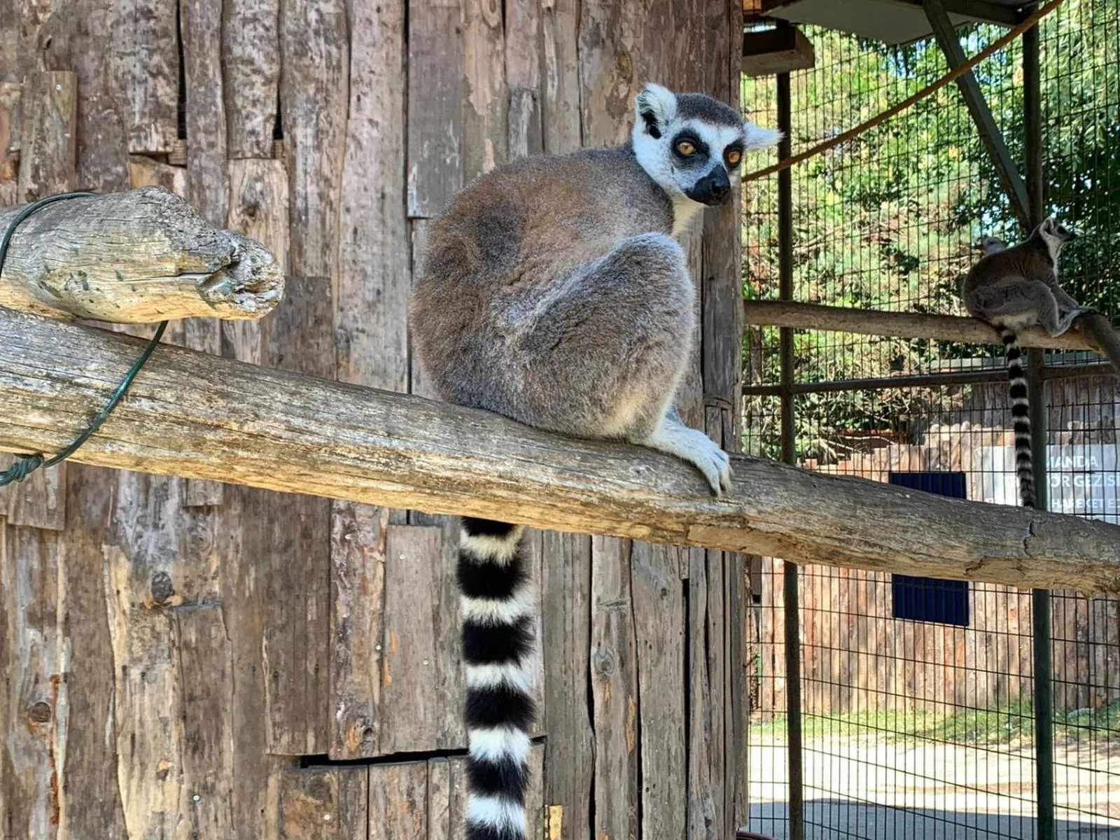 Animals in Polonezköy Country Club & Accommodation in the Wildlife Park!