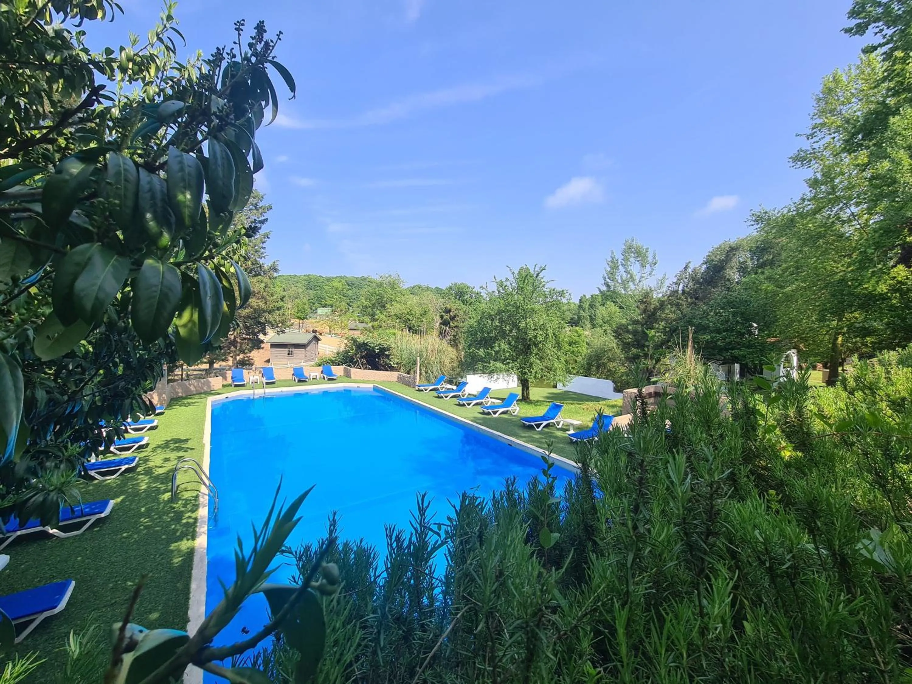Pool view in Polonezköy Country Club & Accommodation in the Wildlife Park!