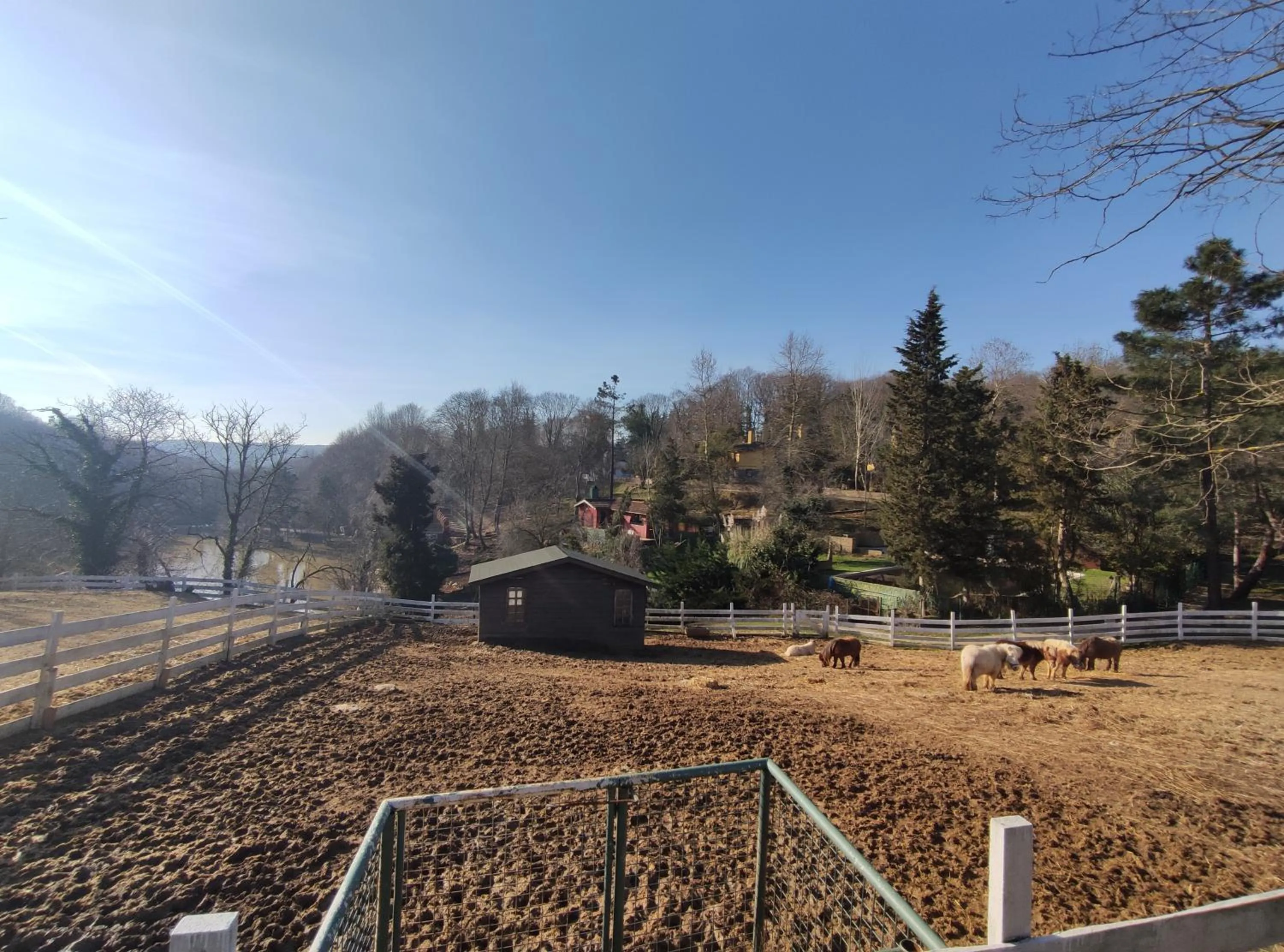 Natural landscape in Polonezköy Country Club & Accommodation in the Wildlife Park!