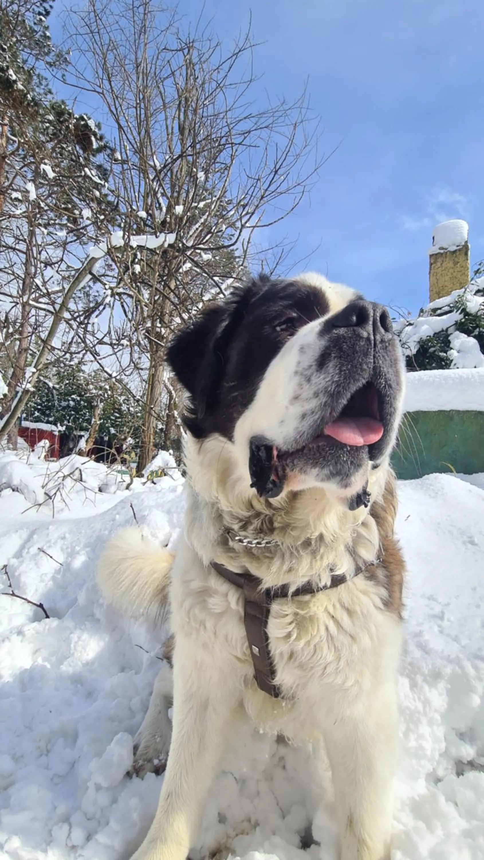 Winter in Polonezköy Country Club & Accommodation in the Wildlife Park!