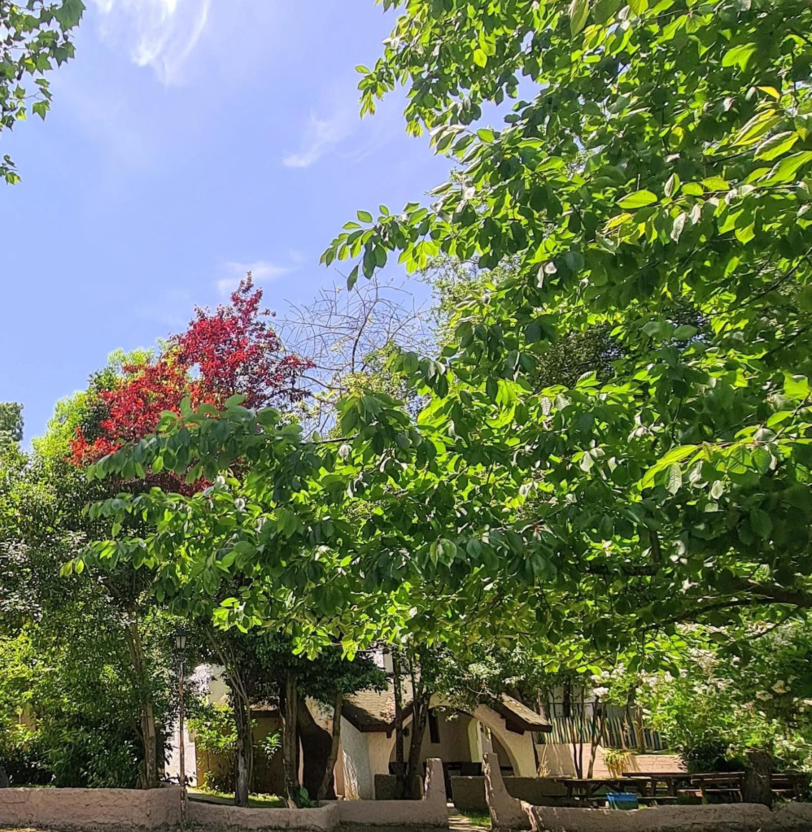 Natural landscape in Polonezköy Country Club & Accommodation in the Wildlife Park!