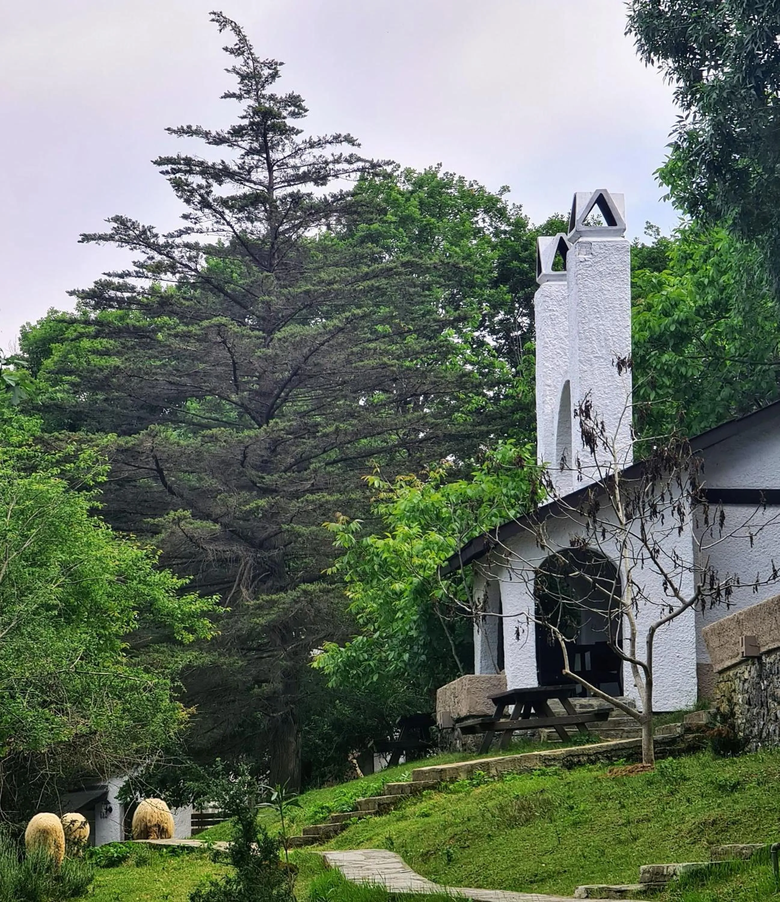 Photo of the whole room in Polonezköy Country Club & Accommodation in the Wildlife Park!