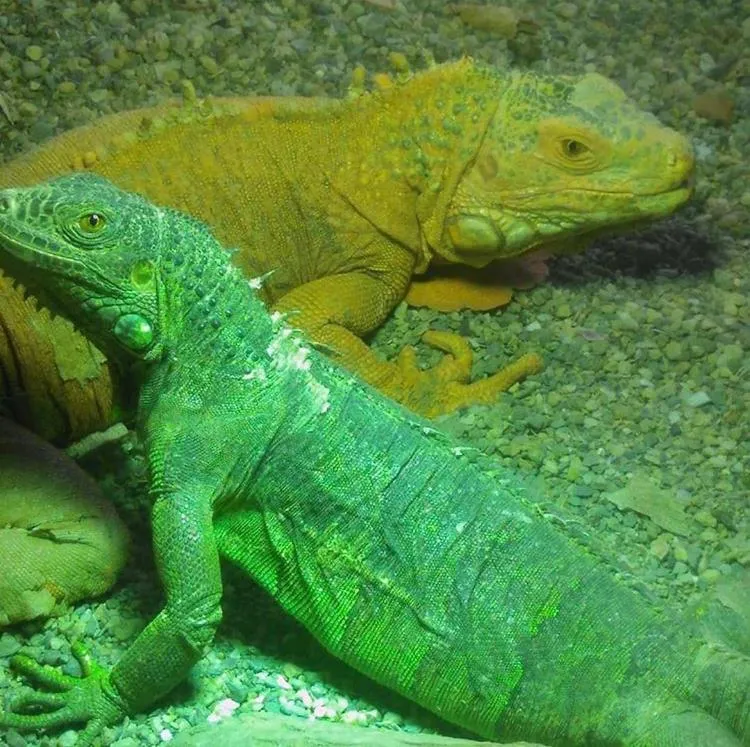 Property building in Polonezköy Country Club & Accommodation in the Wildlife Park!