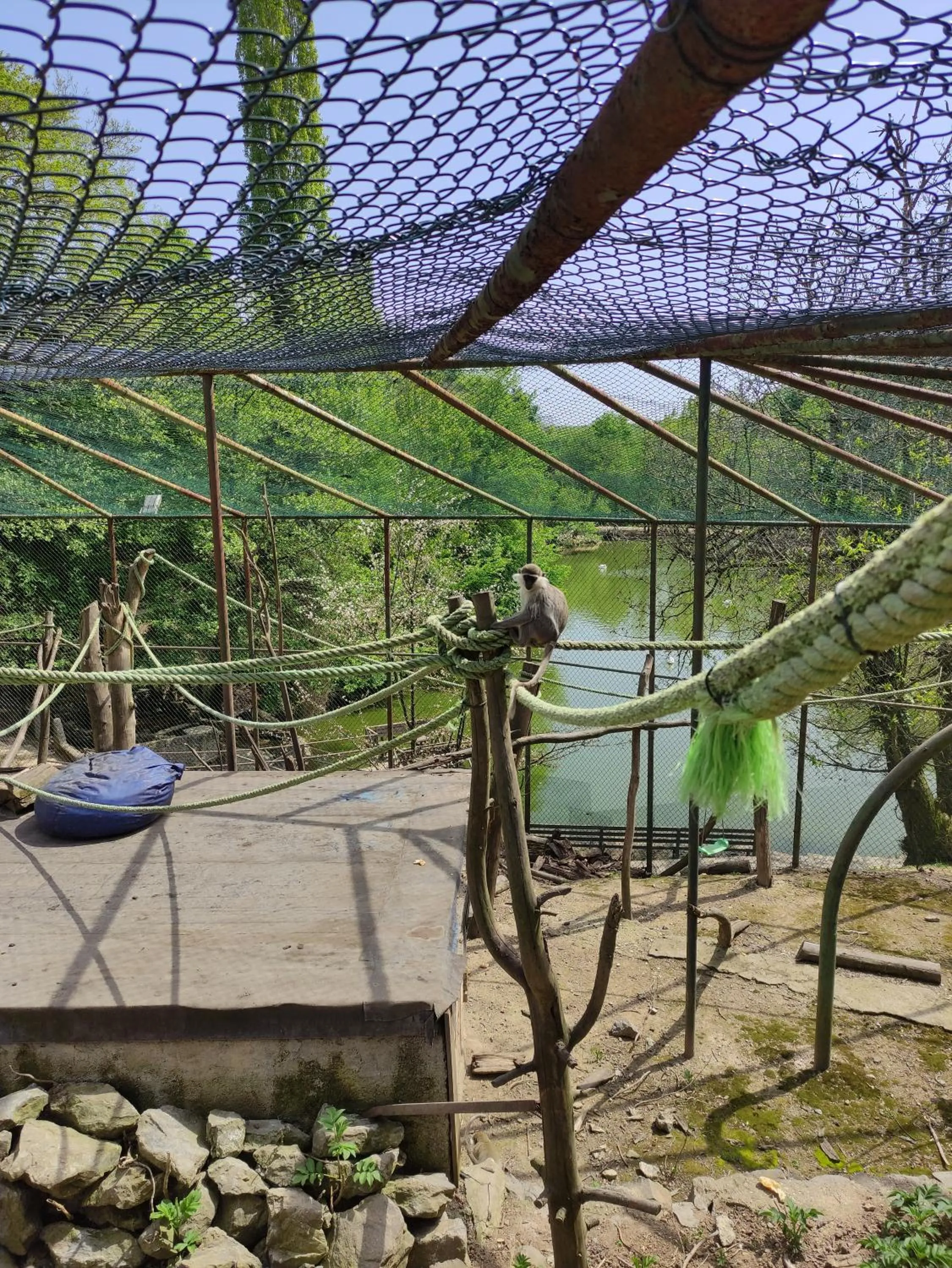 Animals in Polonezköy Country Club & Accommodation in the Wildlife Park!