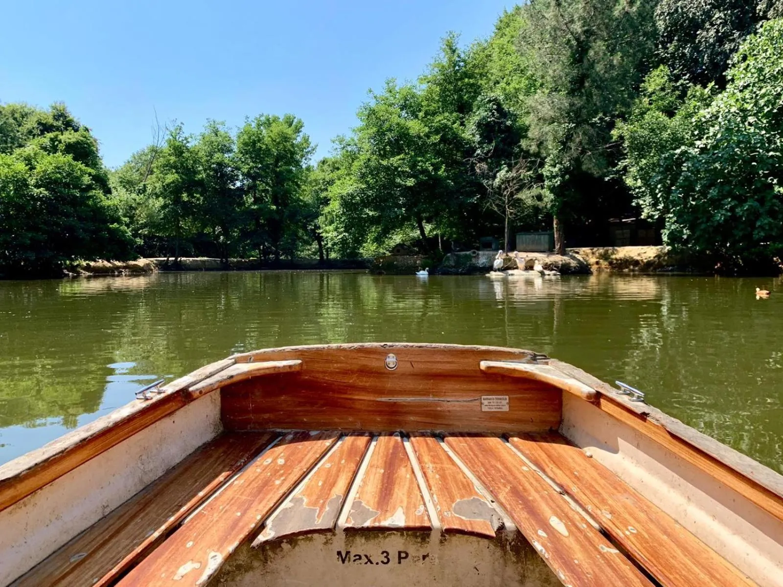 Natural landscape in Polonezköy Country Club & Accommodation in the Wildlife Park!