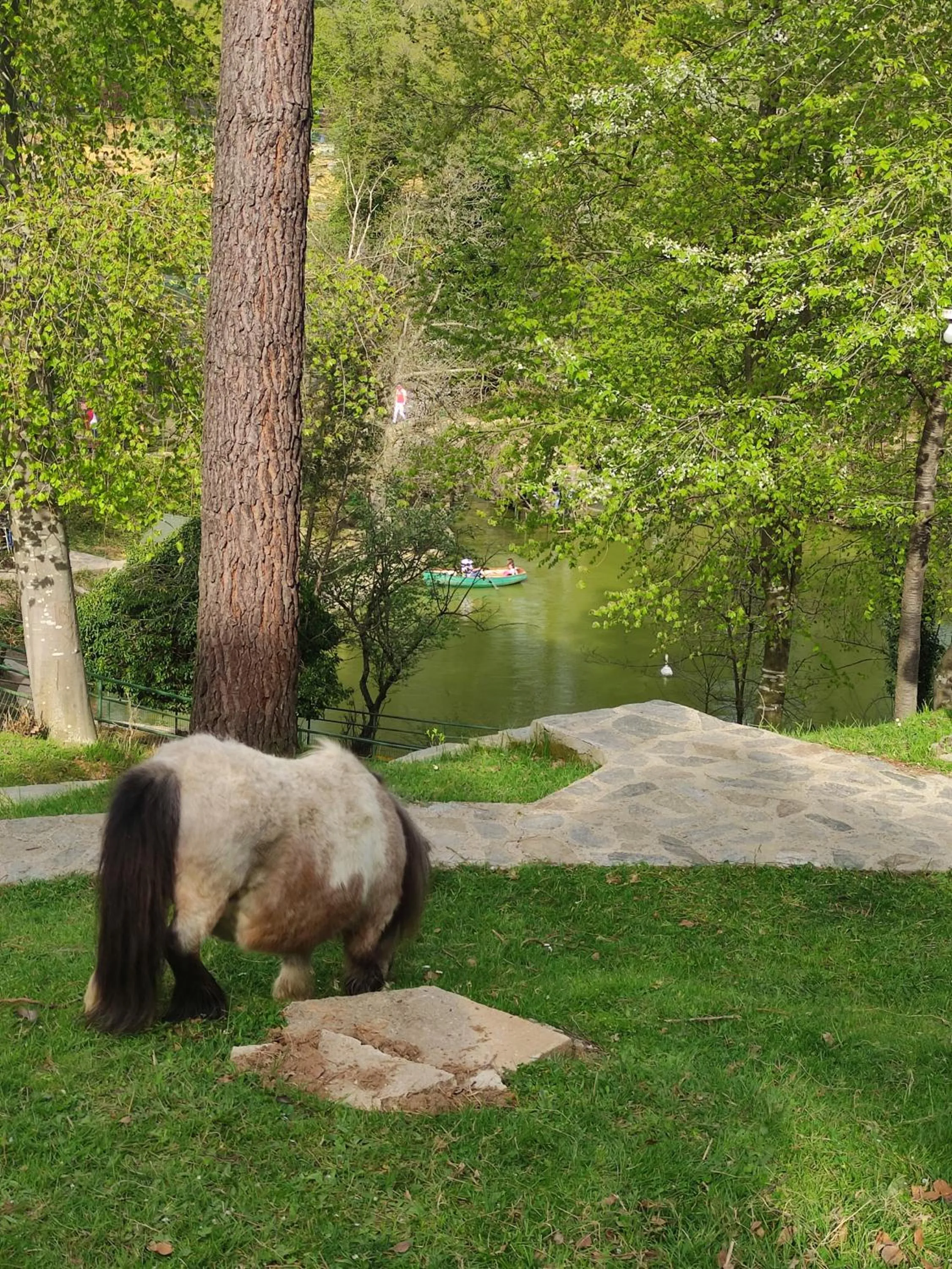 Garden in Polonezköy Country Club & Accommodation in the Wildlife Park!