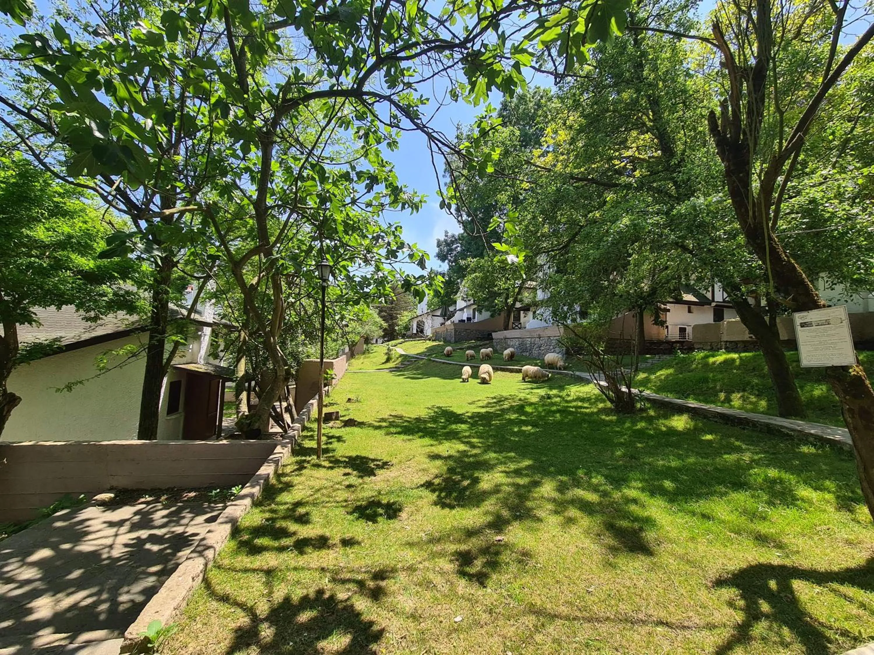 Photo of the whole room in Polonezköy Country Club & Accommodation in the Wildlife Park!