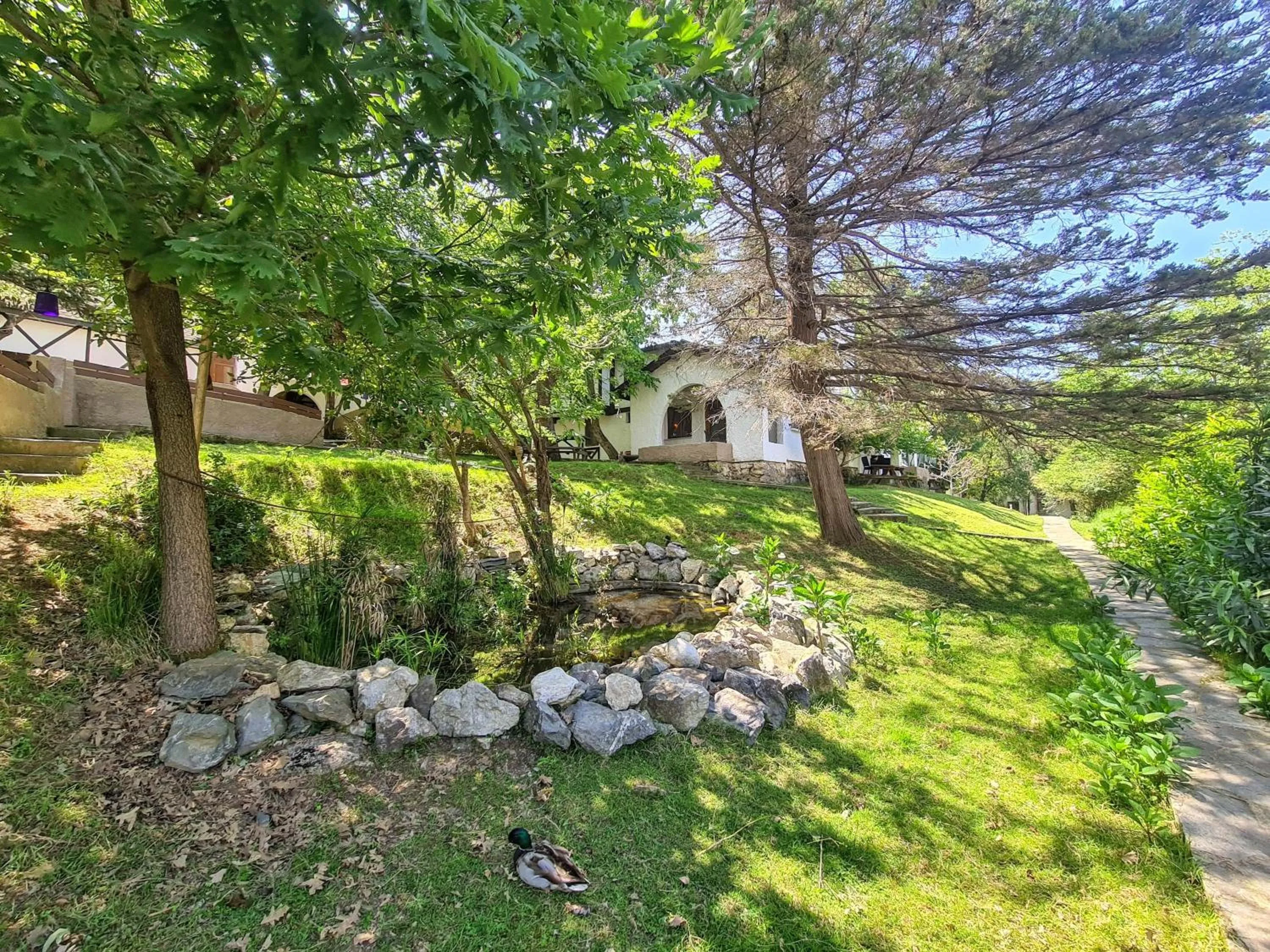 Photo of the whole room in Polonezköy Country Club & Accommodation in the Wildlife Park!