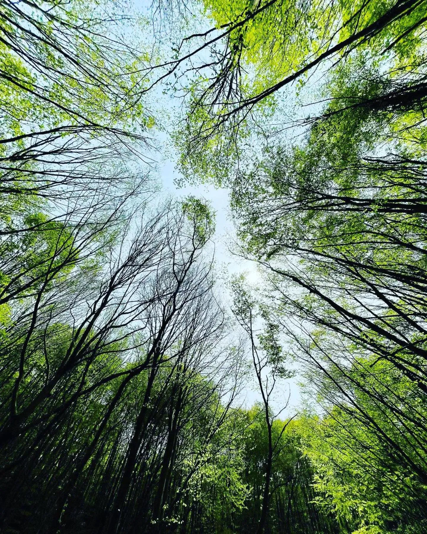 Natural landscape in Polonezköy Country Club & Accommodation in the Wildlife Park!