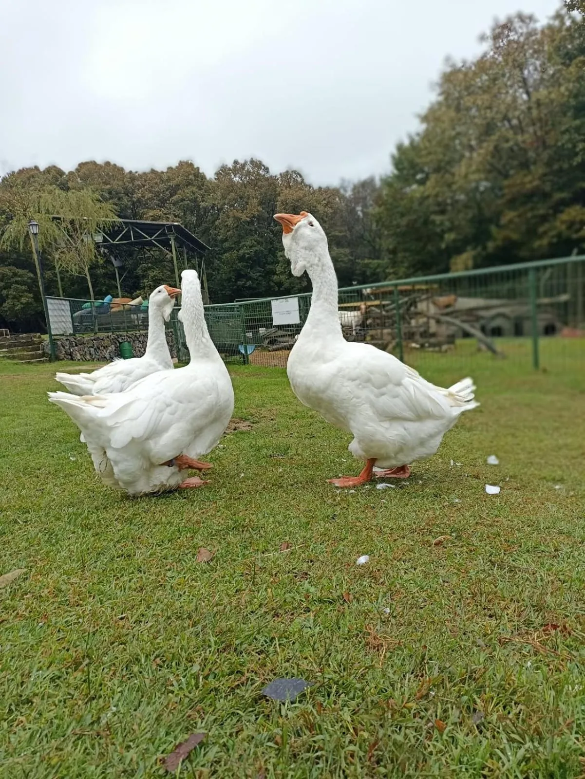 Property building in Polonezköy Country Club & Accommodation in the Wildlife Park!