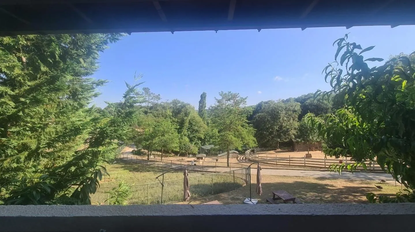 Balcony/Terrace in Polonezköy Country Club & Accommodation in the Wildlife Park!