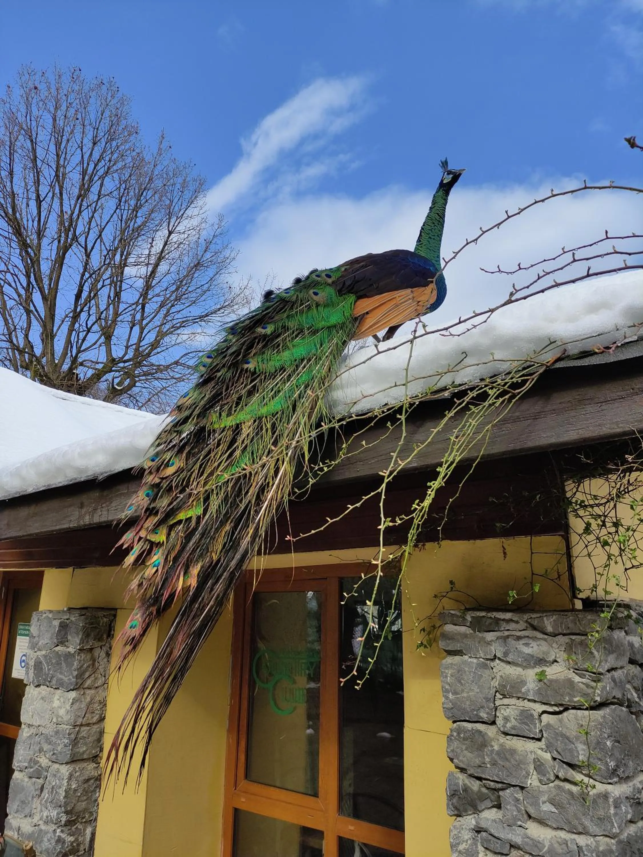 Facade/entrance in Polonezköy Country Club & Accommodation in the Wildlife Park!