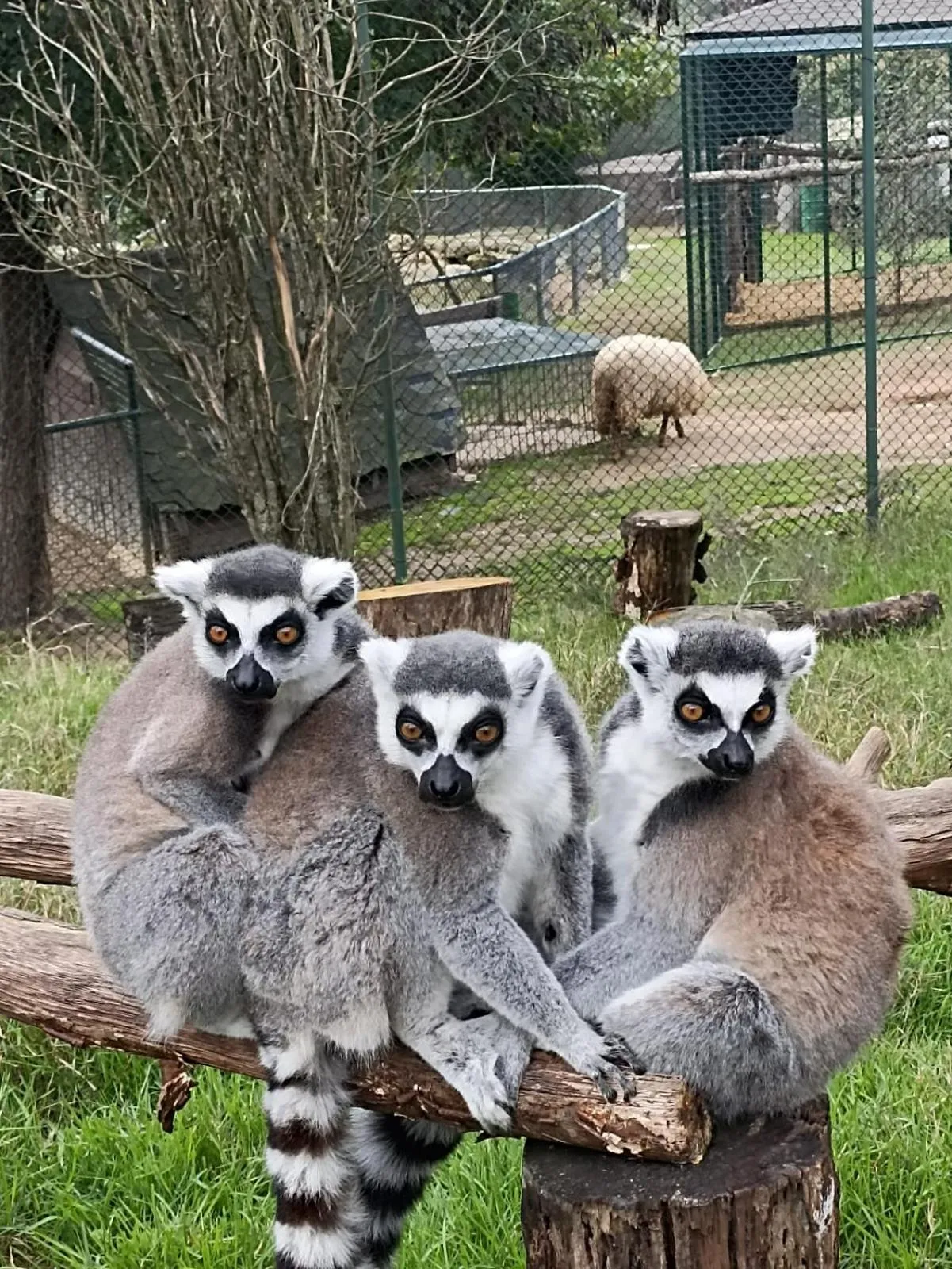 Property building in Polonezköy Country Club & Accommodation in the Wildlife Park!