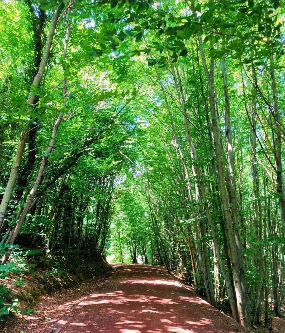 Spring in Polonezköy Country Club & Accommodation in the Wildlife Park!