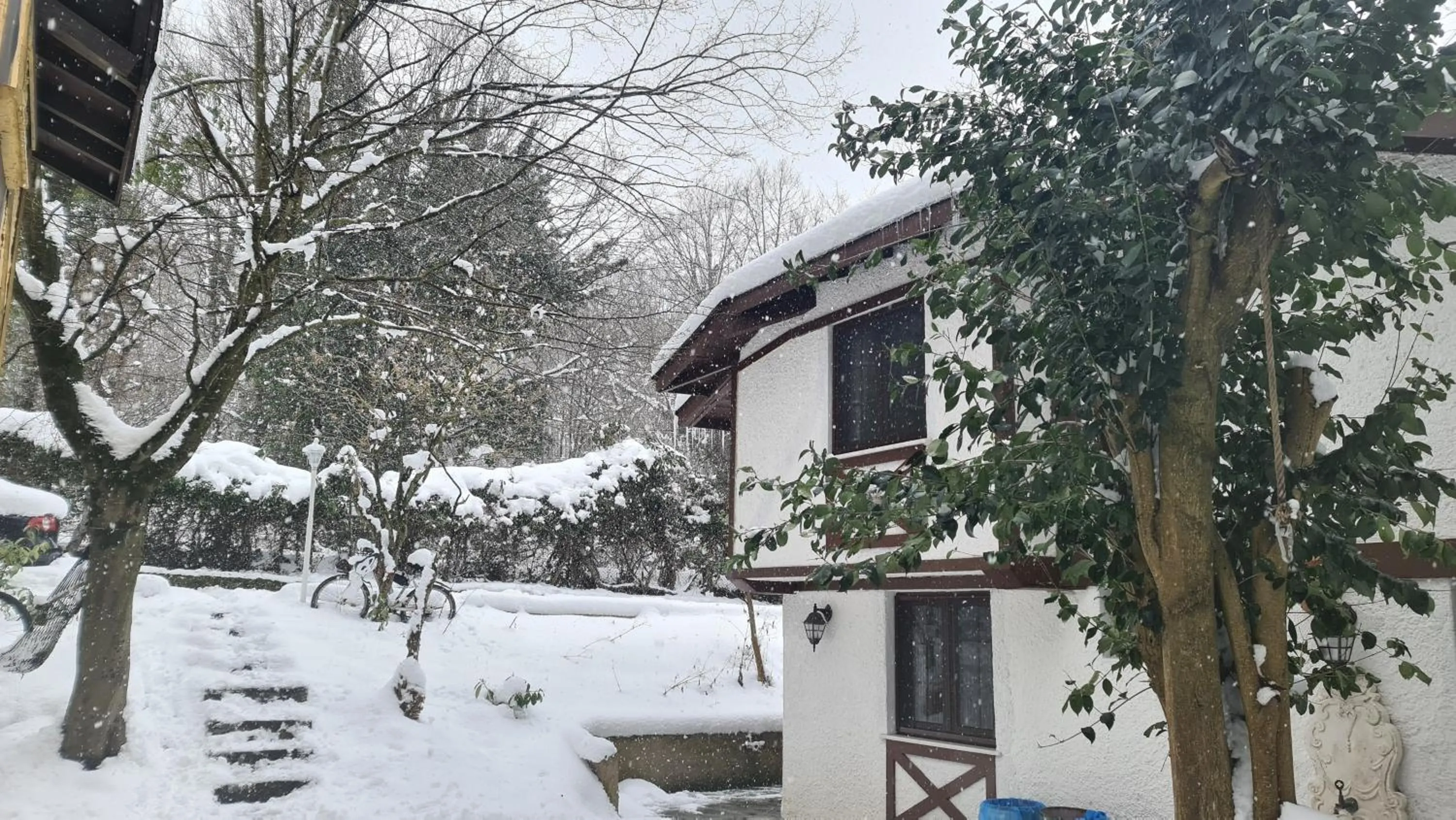 Winter in Polonezköy Country Club & Accommodation in the Wildlife Park!