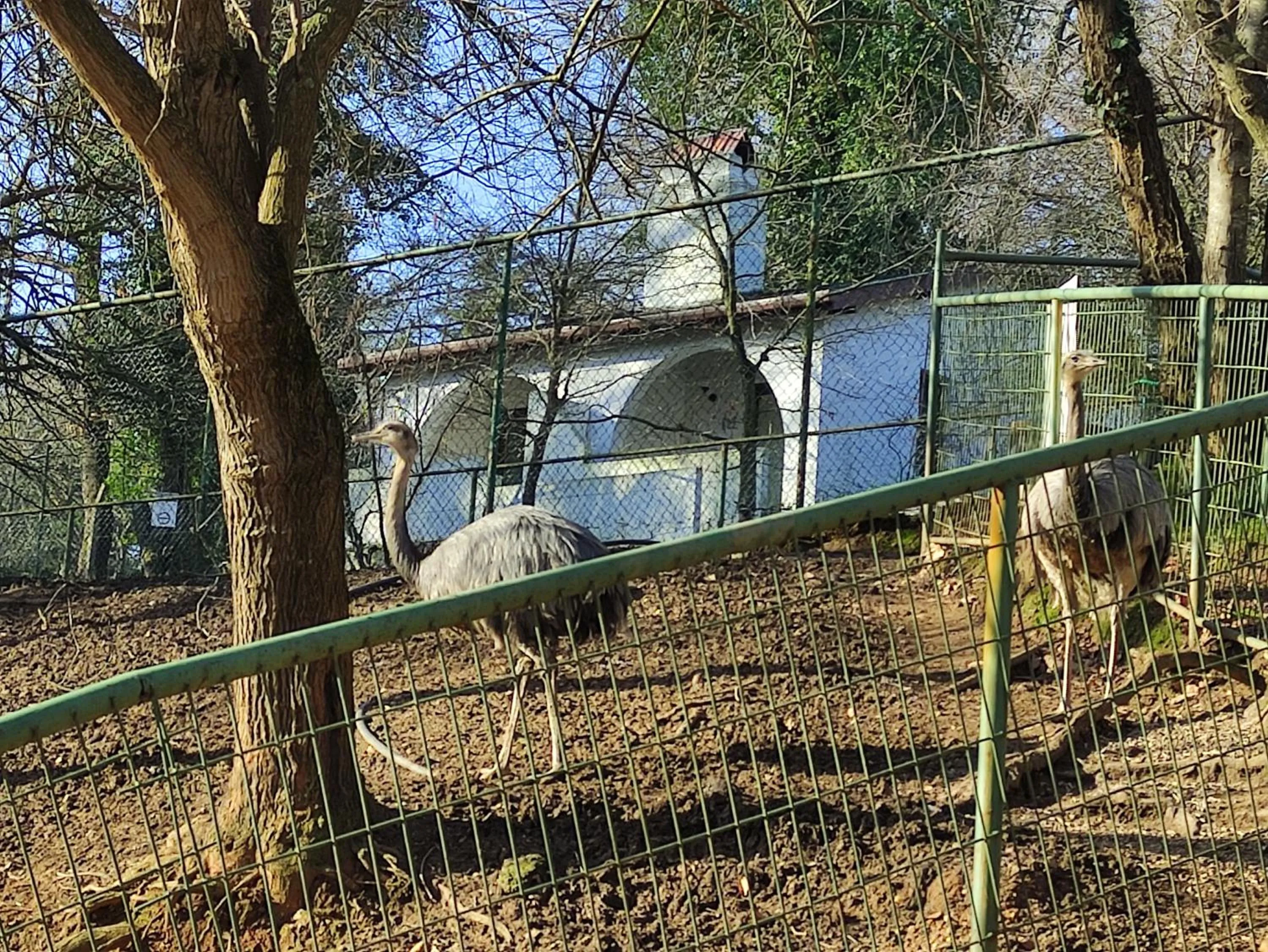 Garden in Polonezköy Country Club & Accommodation in the Wildlife Park!