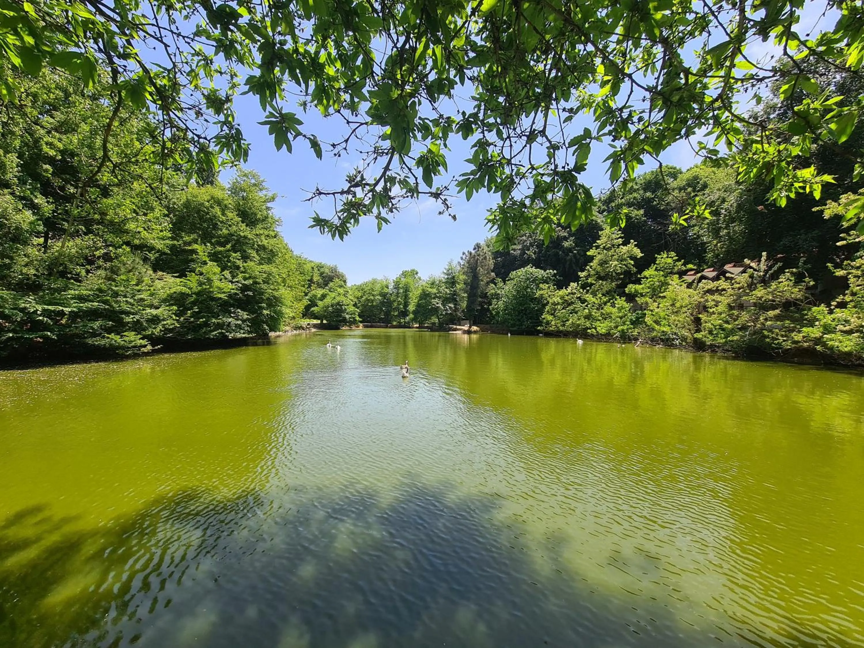 Lake view in Polonezköy Country Club & Accommodation in the Wildlife Park!