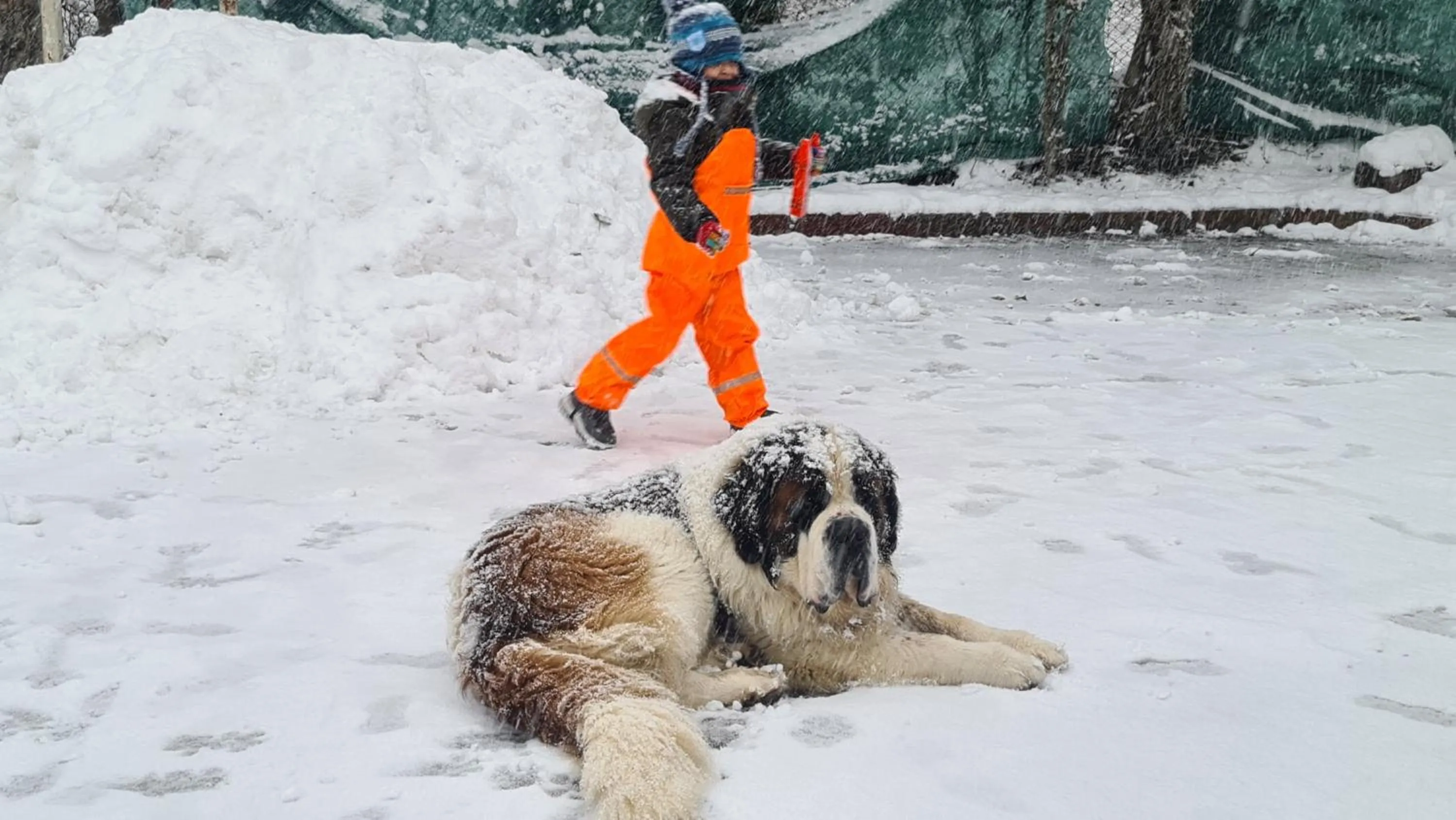 Winter in Polonezköy Country Club & Accommodation in the Wildlife Park!