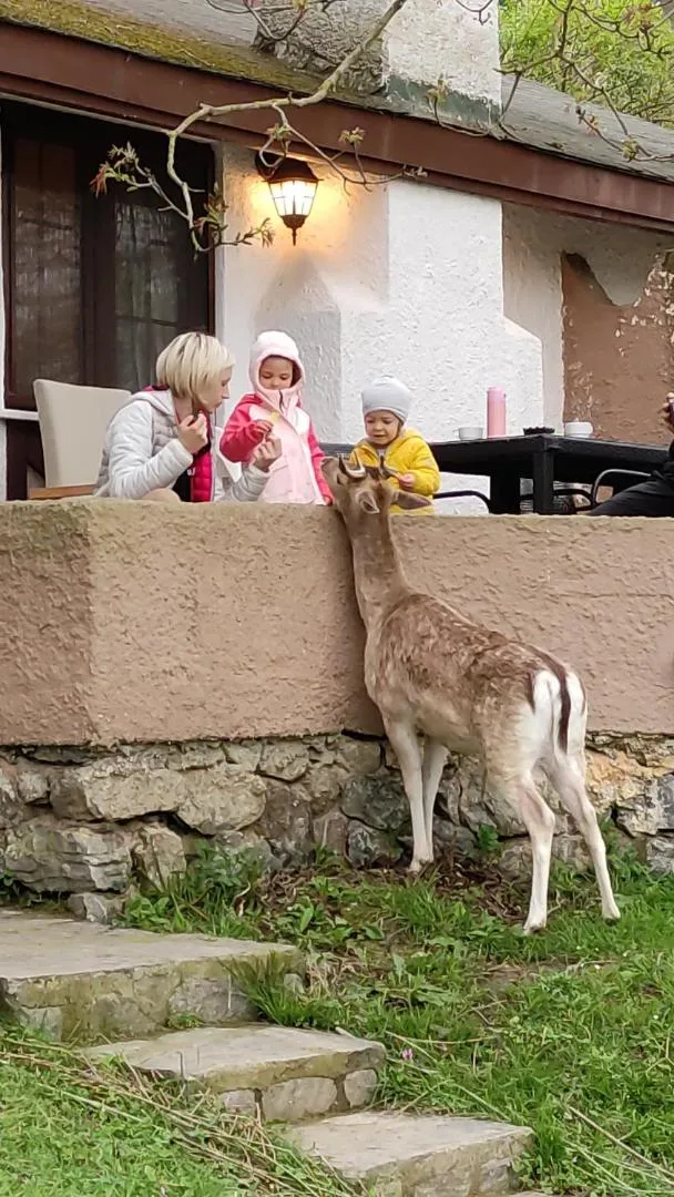 children in Polonezköy Country Club & Accommodation in the Wildlife Park!
