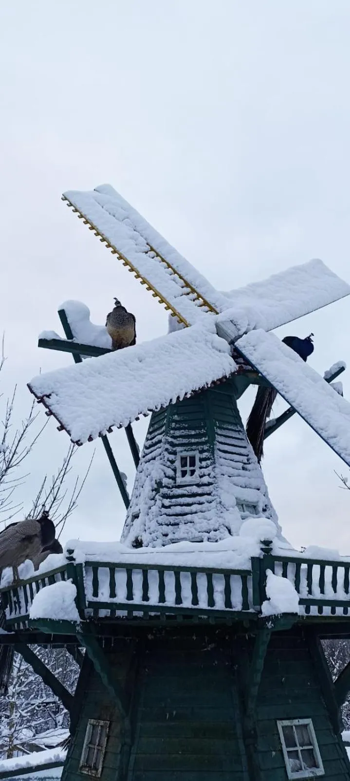 Restaurant/places to eat in Polonezköy Country Club & Accommodation in the Wildlife Park!