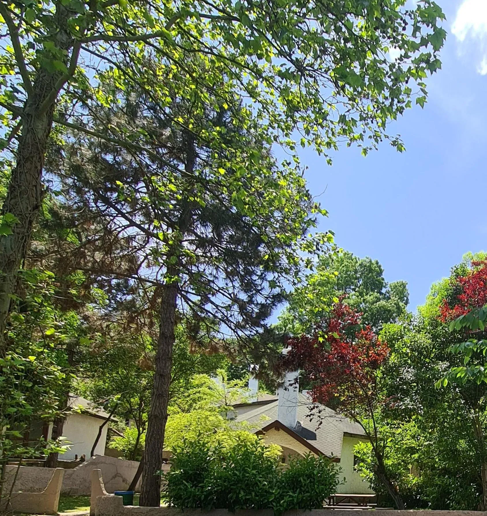 Natural landscape in Polonezköy Country Club & Accommodation in the Wildlife Park!