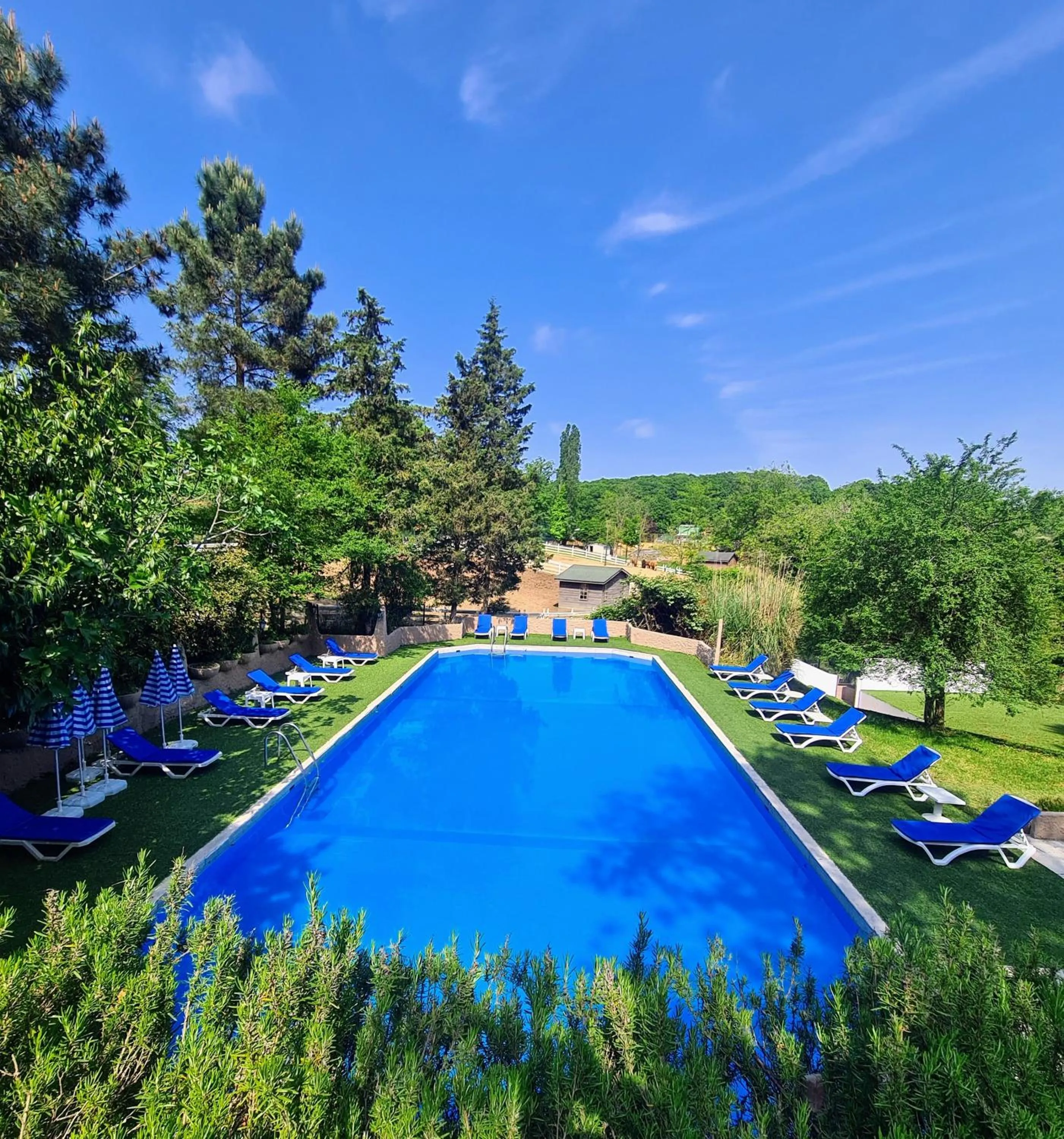Pool view in Polonezköy Country Club & Accommodation in the Wildlife Park!