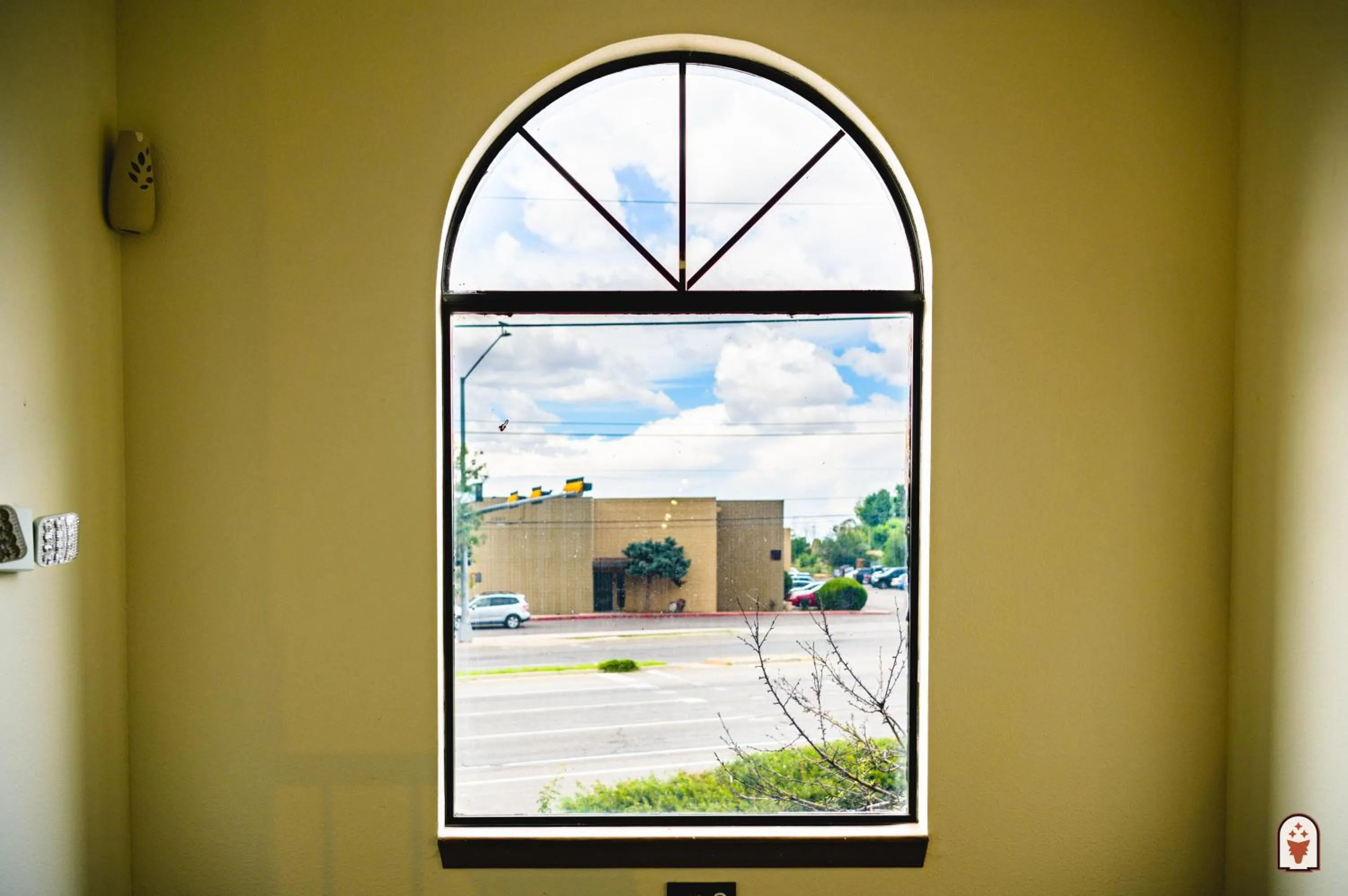 Decorative detail in Coyote South