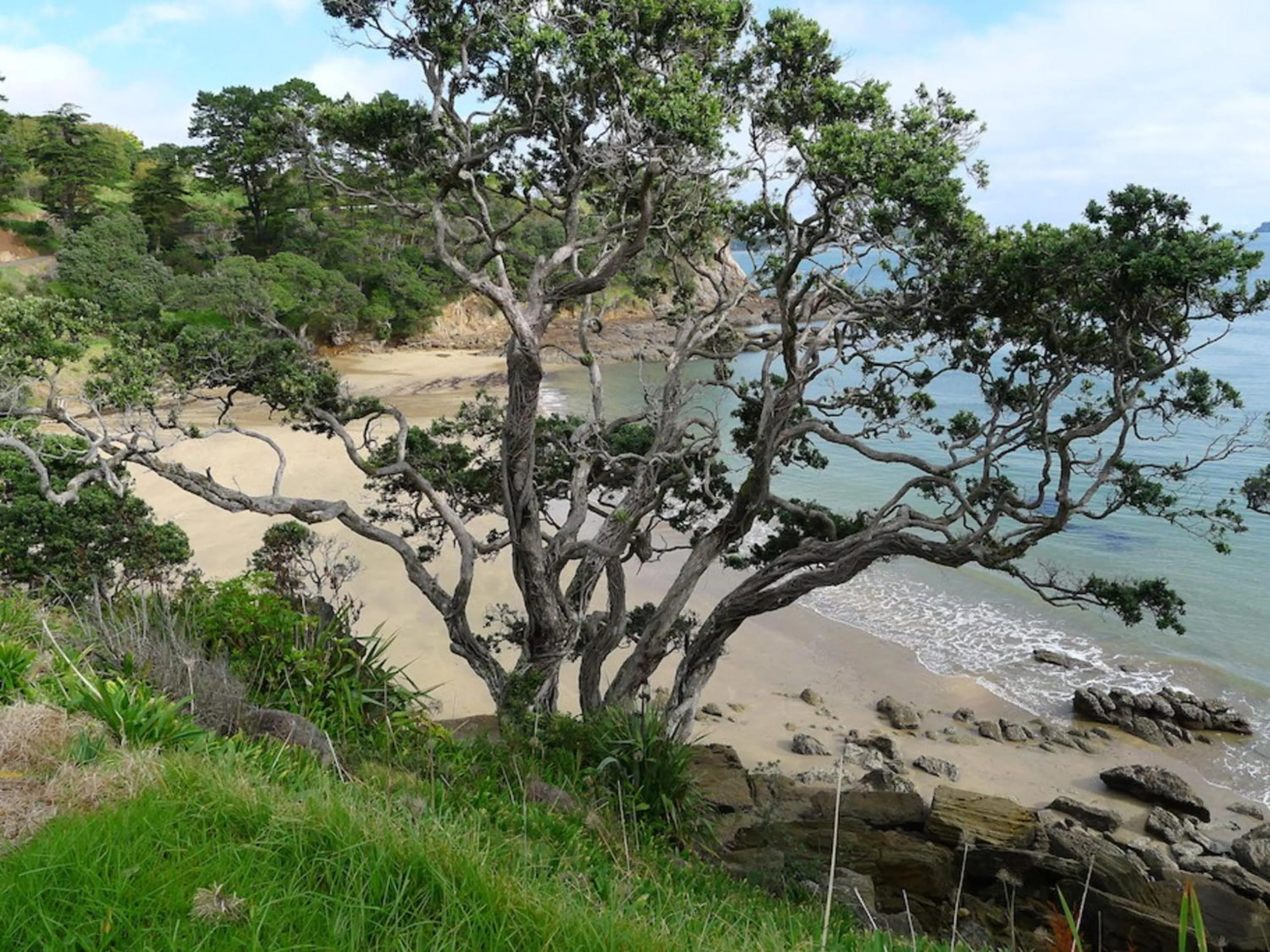 Natural landscape in Anglers Lodge