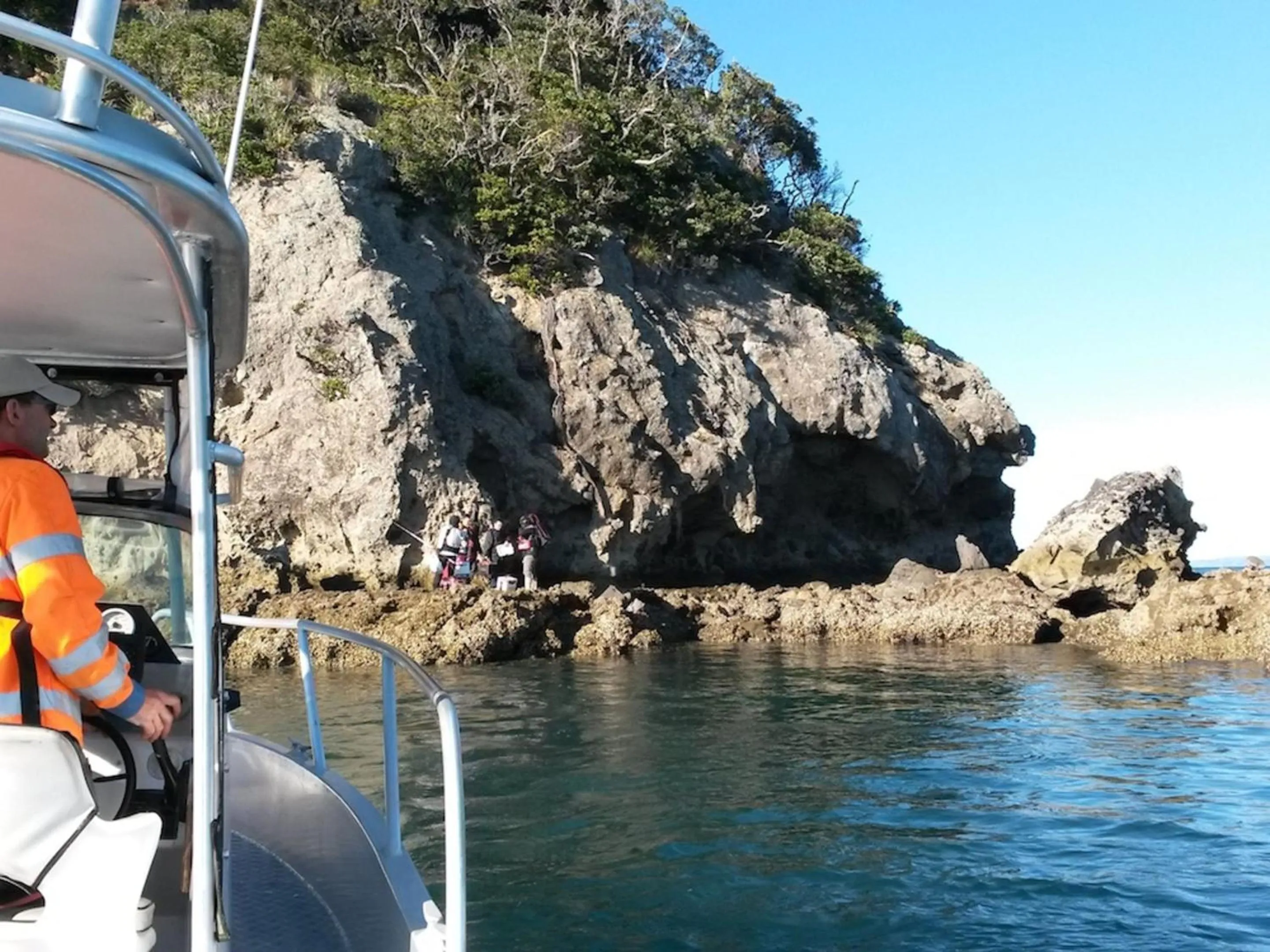 Natural landscape in Anglers Lodge